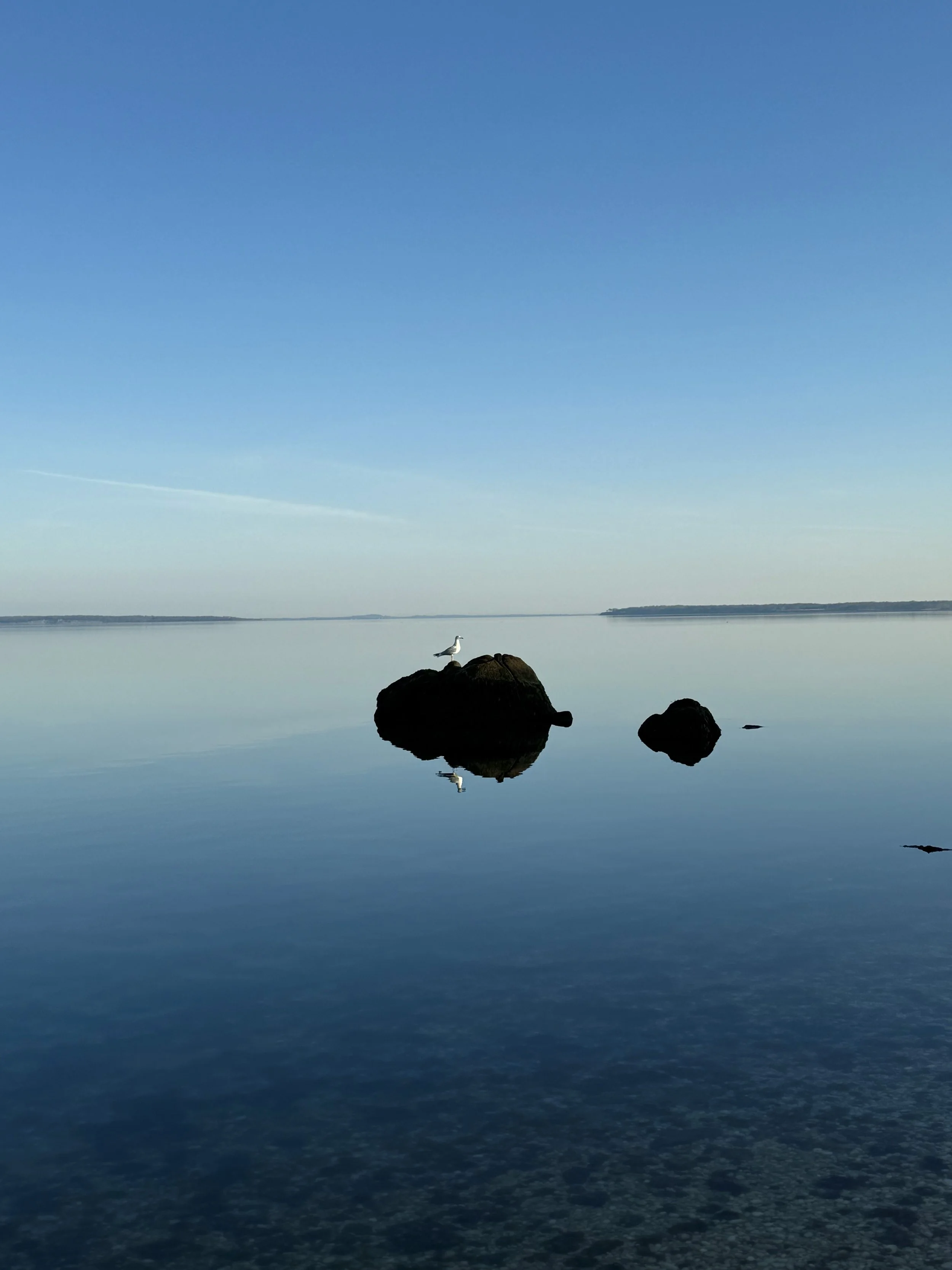 Silent Rocks | Southampton