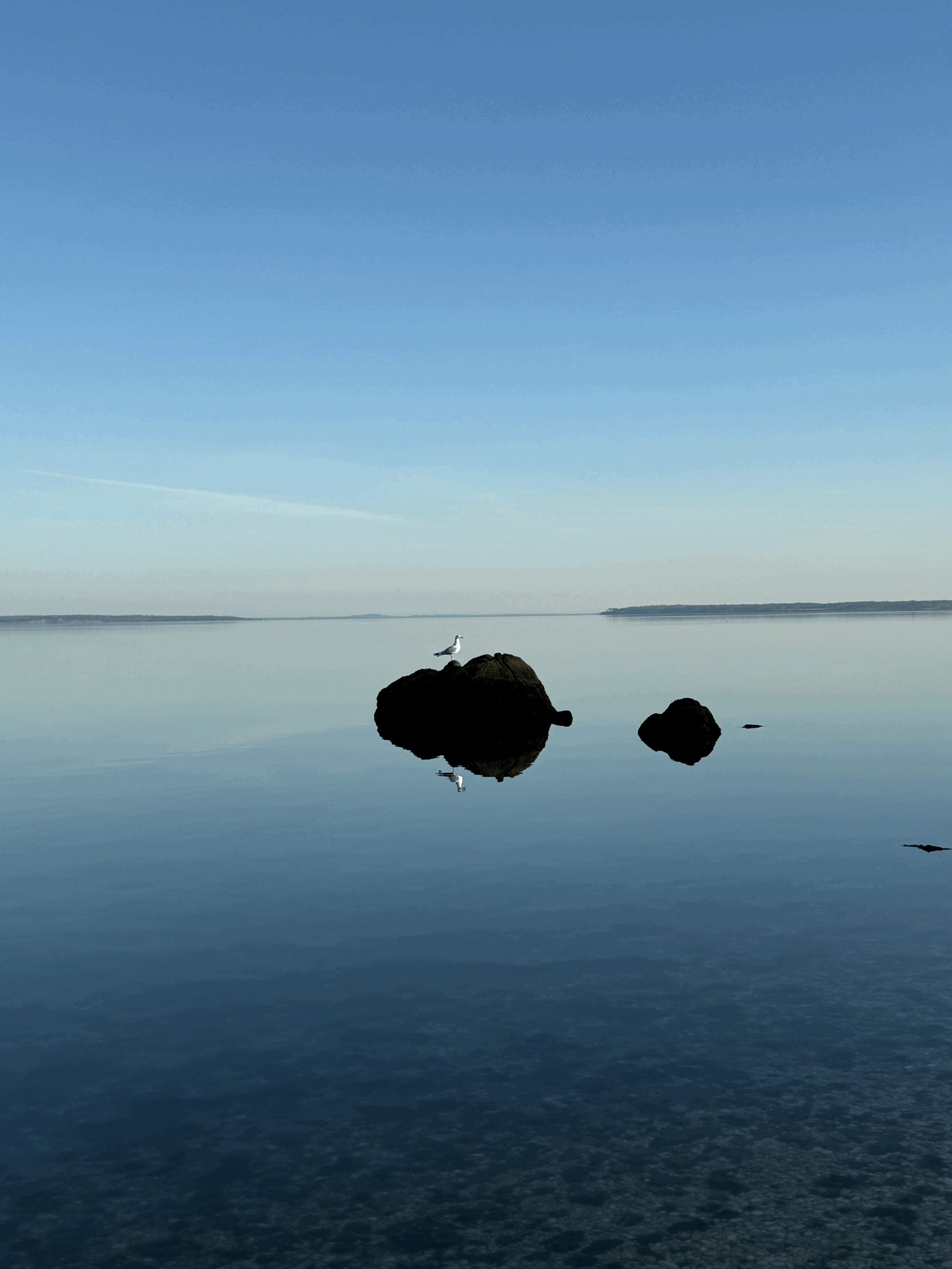 Silent Rocks | Southampton