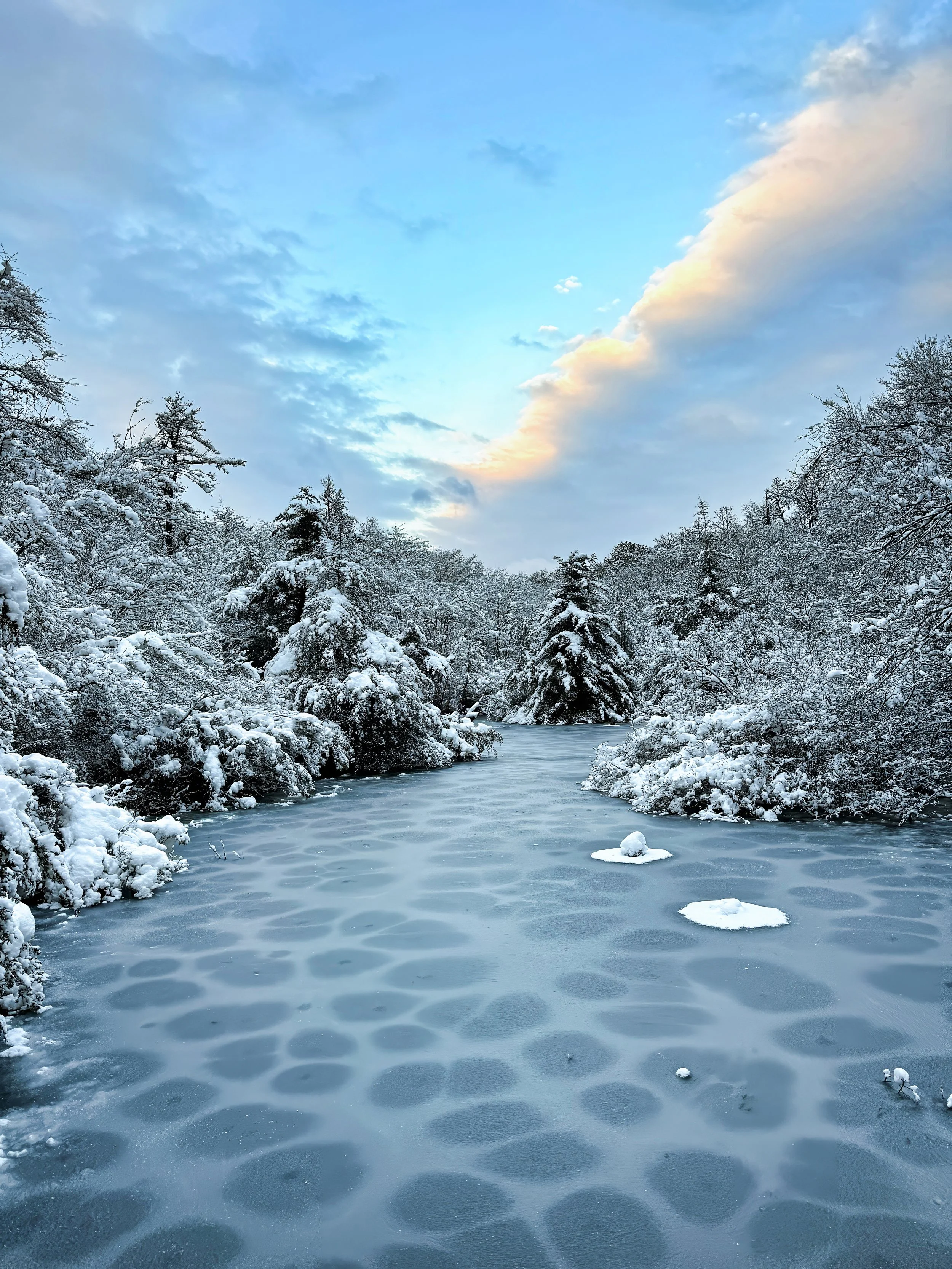 Winter Etching | Quogue, New York 2025