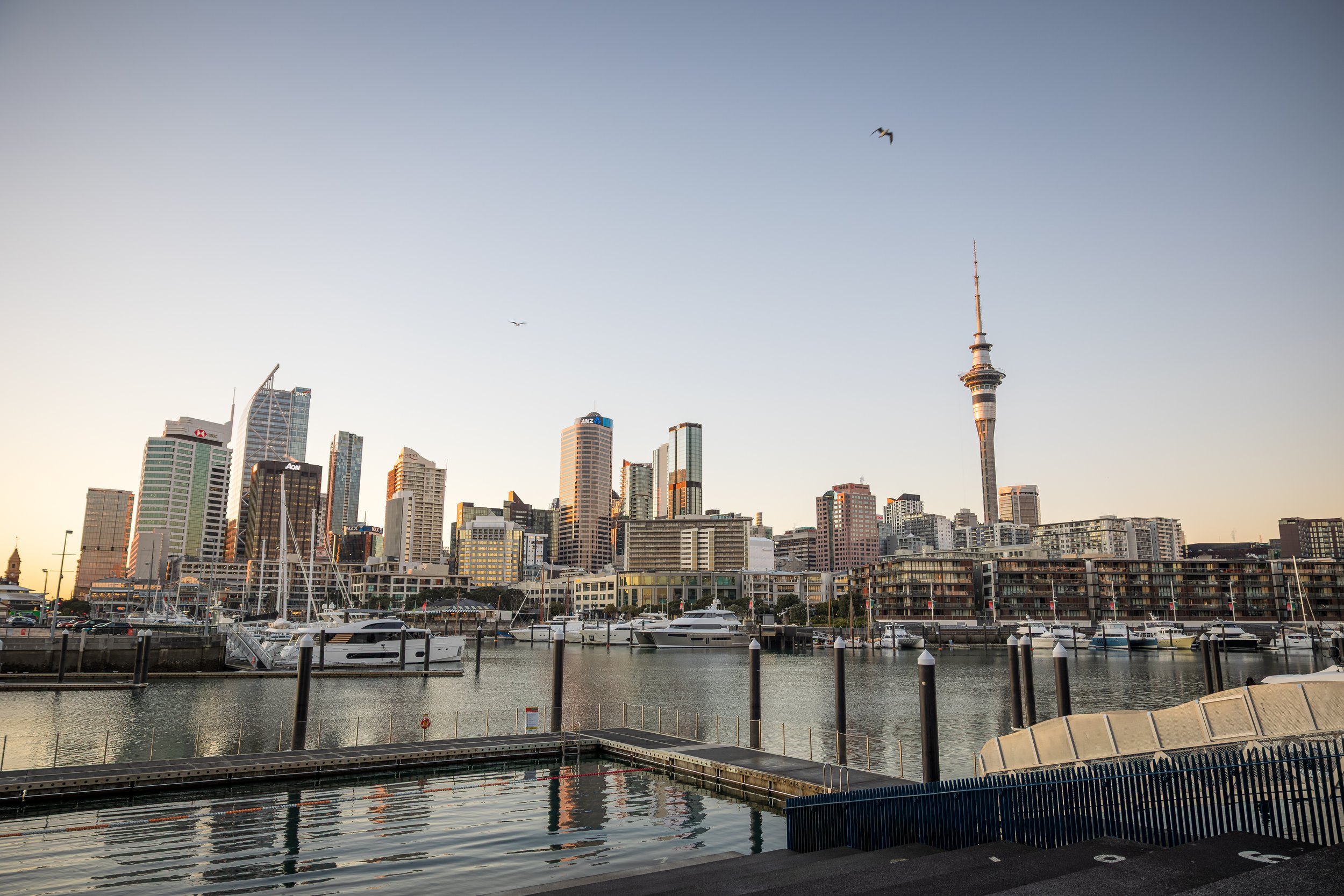 RoshanNama-RevvedSummit2026-4.jpg
