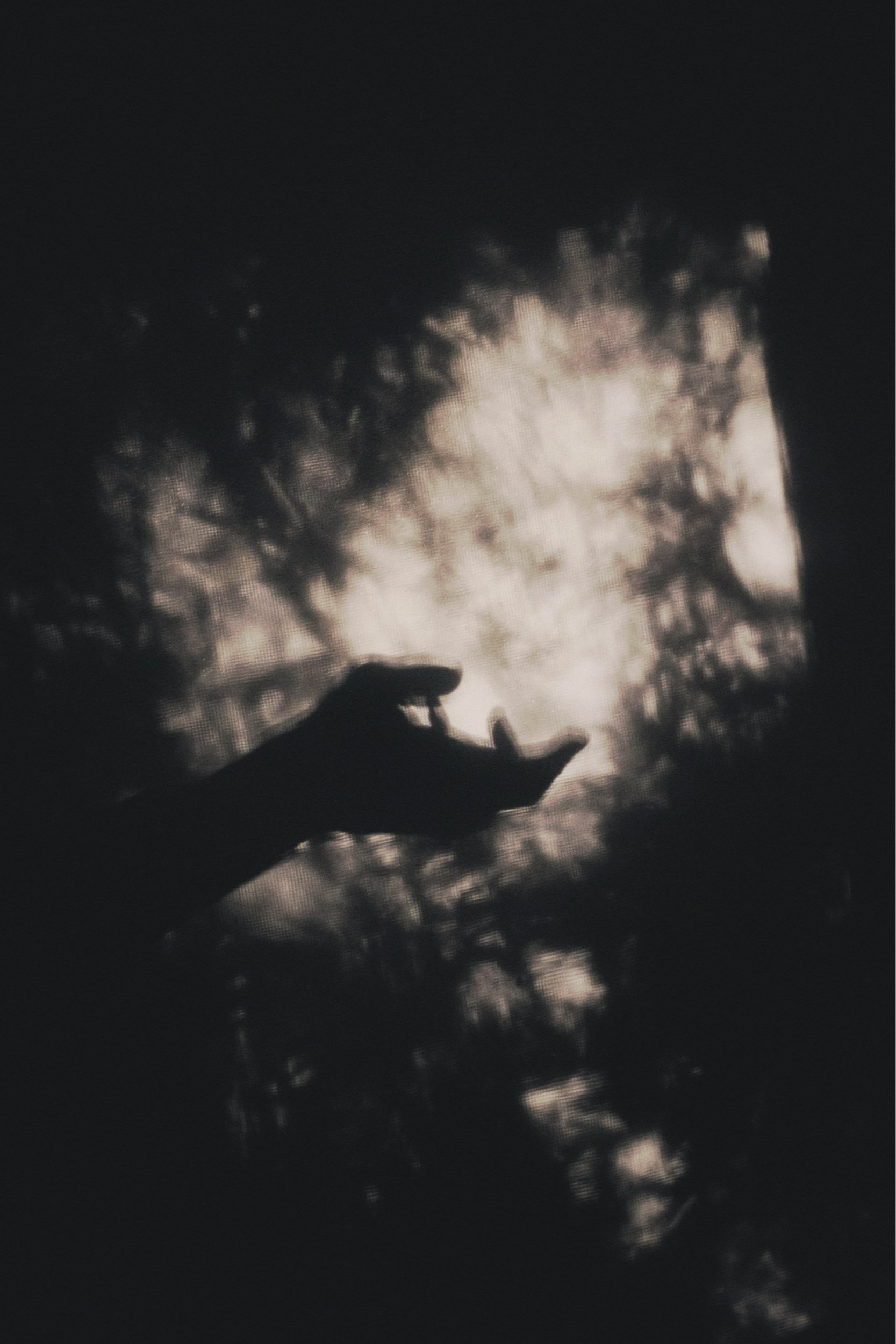 10 Pre‑Planned Sessions: reduced fee