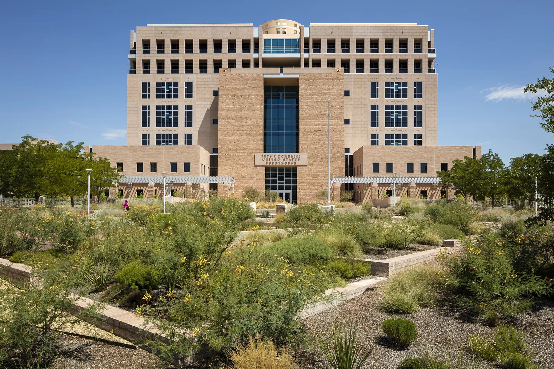 Rio Grande Regeneration_Rain Garden.jpg