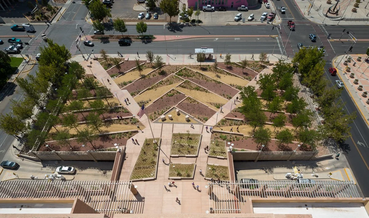 Rio Grande Regeneration_From Above.jpg