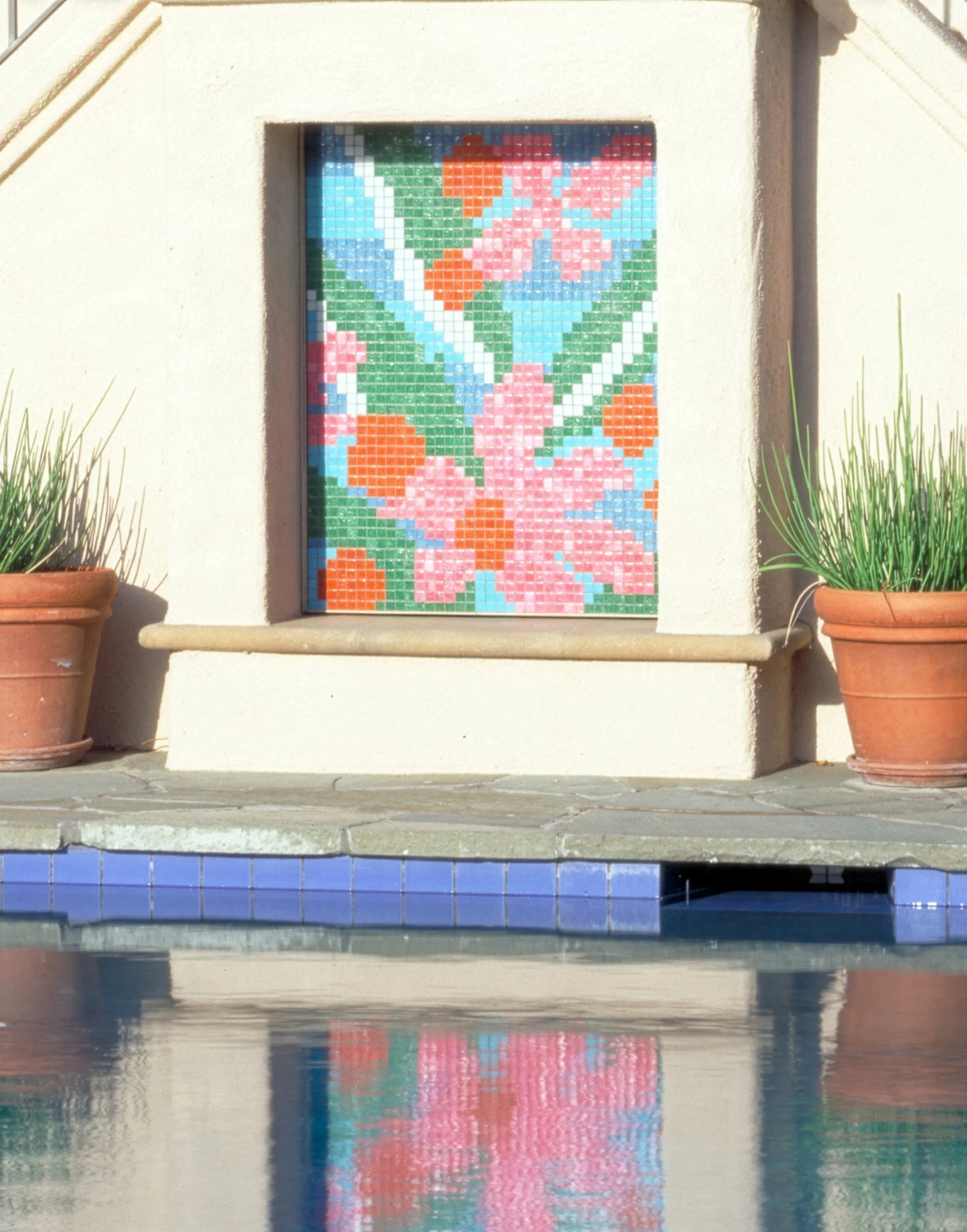 Berry bloom pool mosaic reflection.jpg