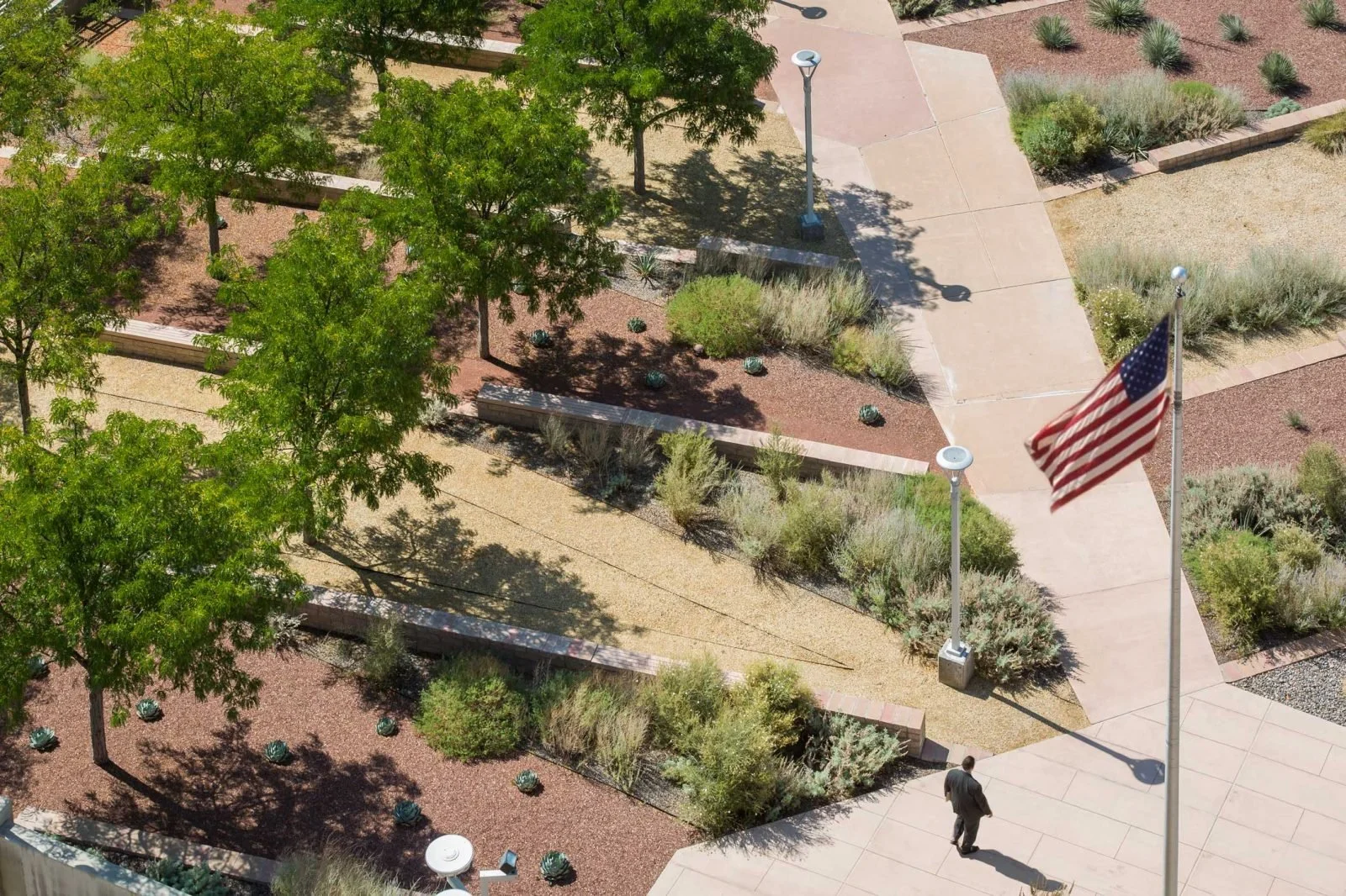 Rio Grande Regeneration 
Pete Domenici US Courthouse Landscape, Environmental Art 