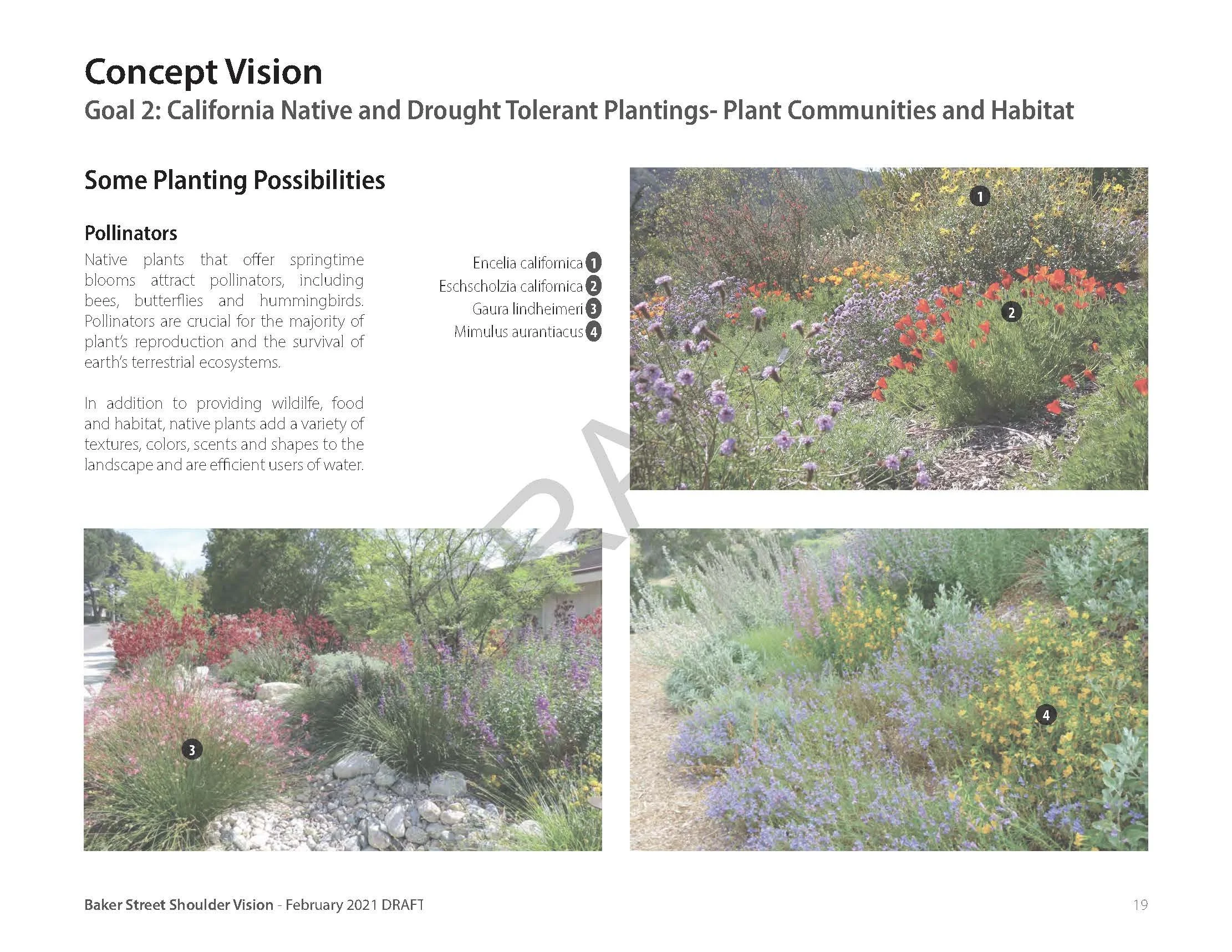 210210_Baker_St_Concept Vision Plan DRAFT_Page_19.jpg