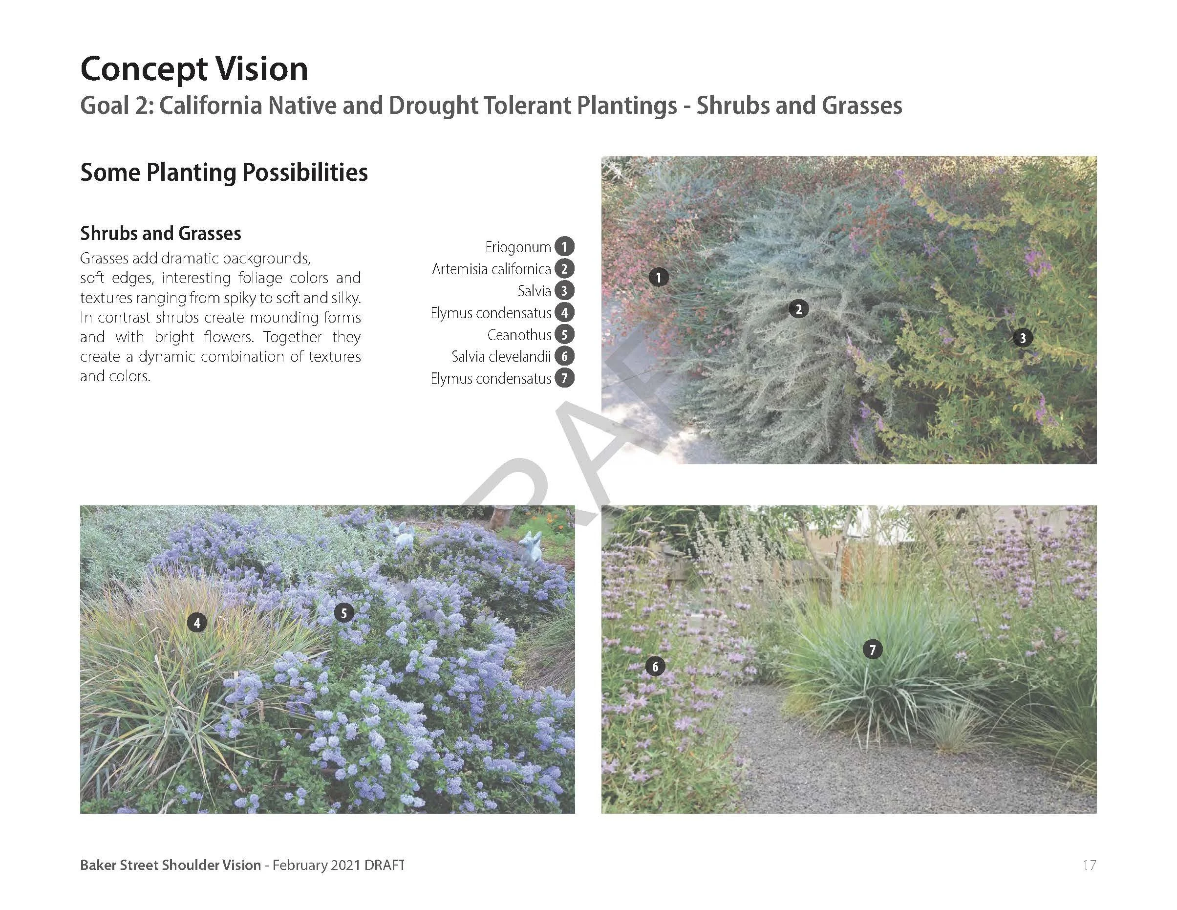 210210_Baker_St_Concept Vision Plan DRAFT_Page_17.jpg