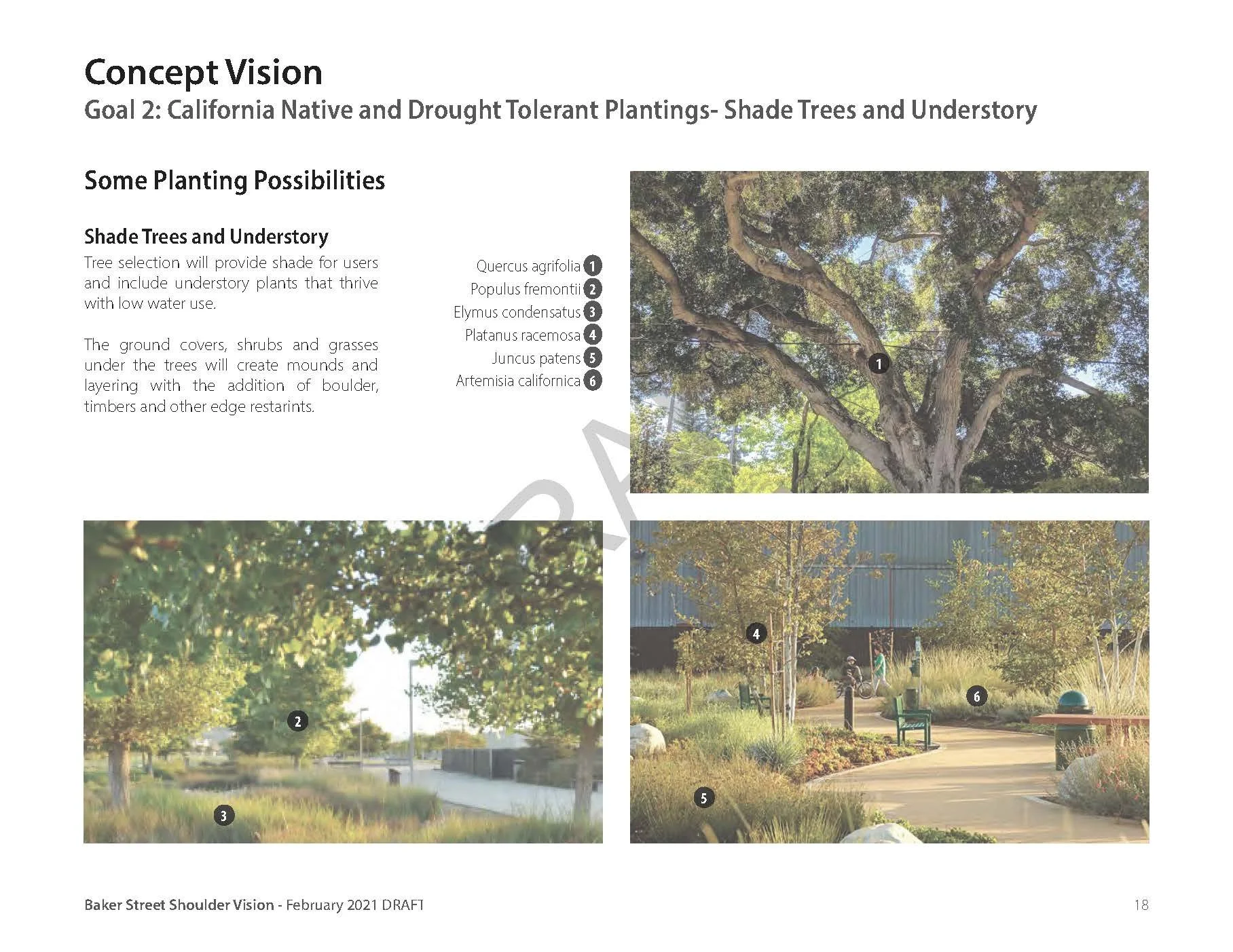 210210_Baker_St_Concept Vision Plan DRAFT_Page_18.jpg