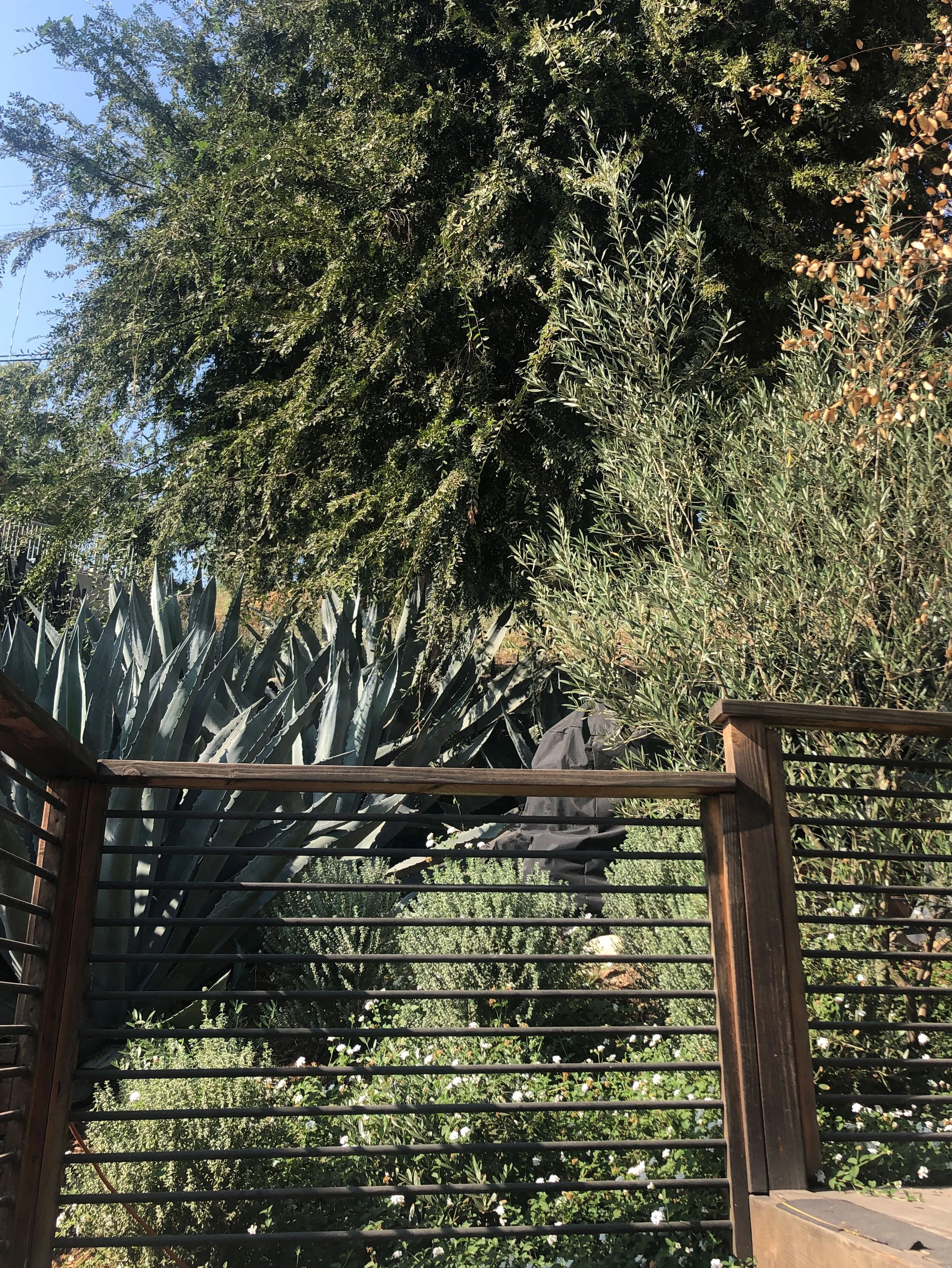 Sugar-view-of-hillside_web.jpg
