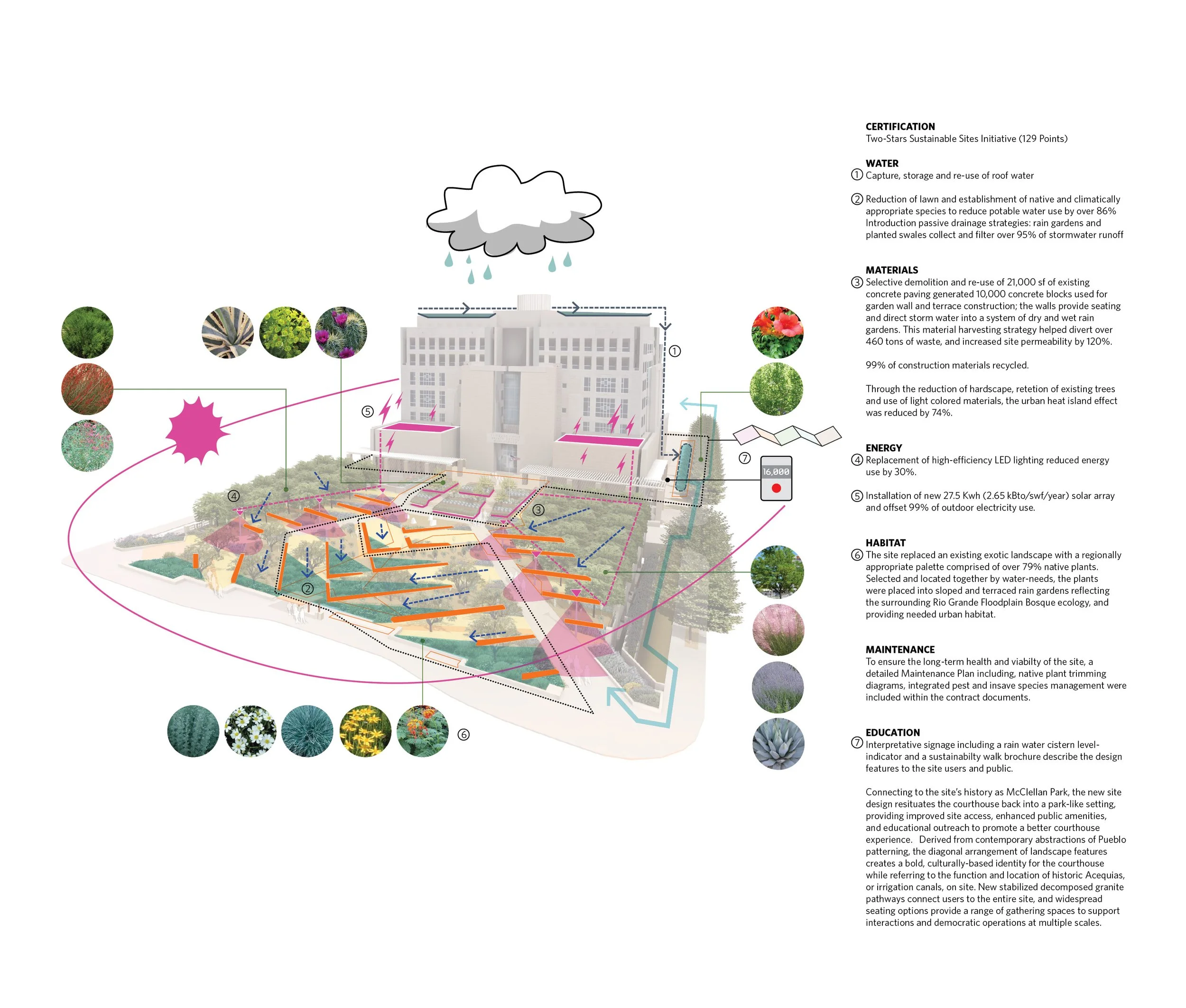 Rio Grande Regeneration_Sustainability Diagram.jpg