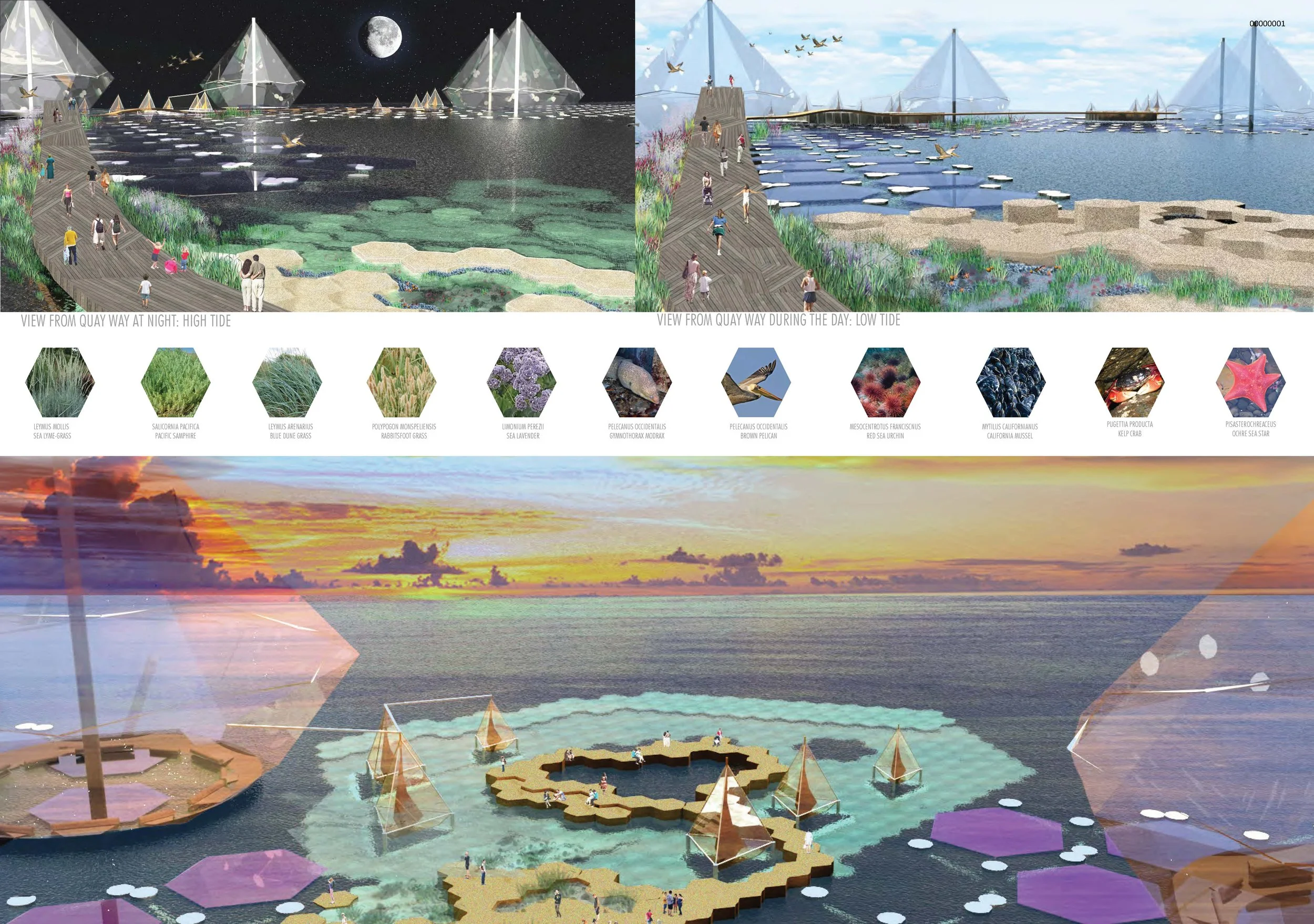 Sunset Function_Quay Plants + Animals.jpg