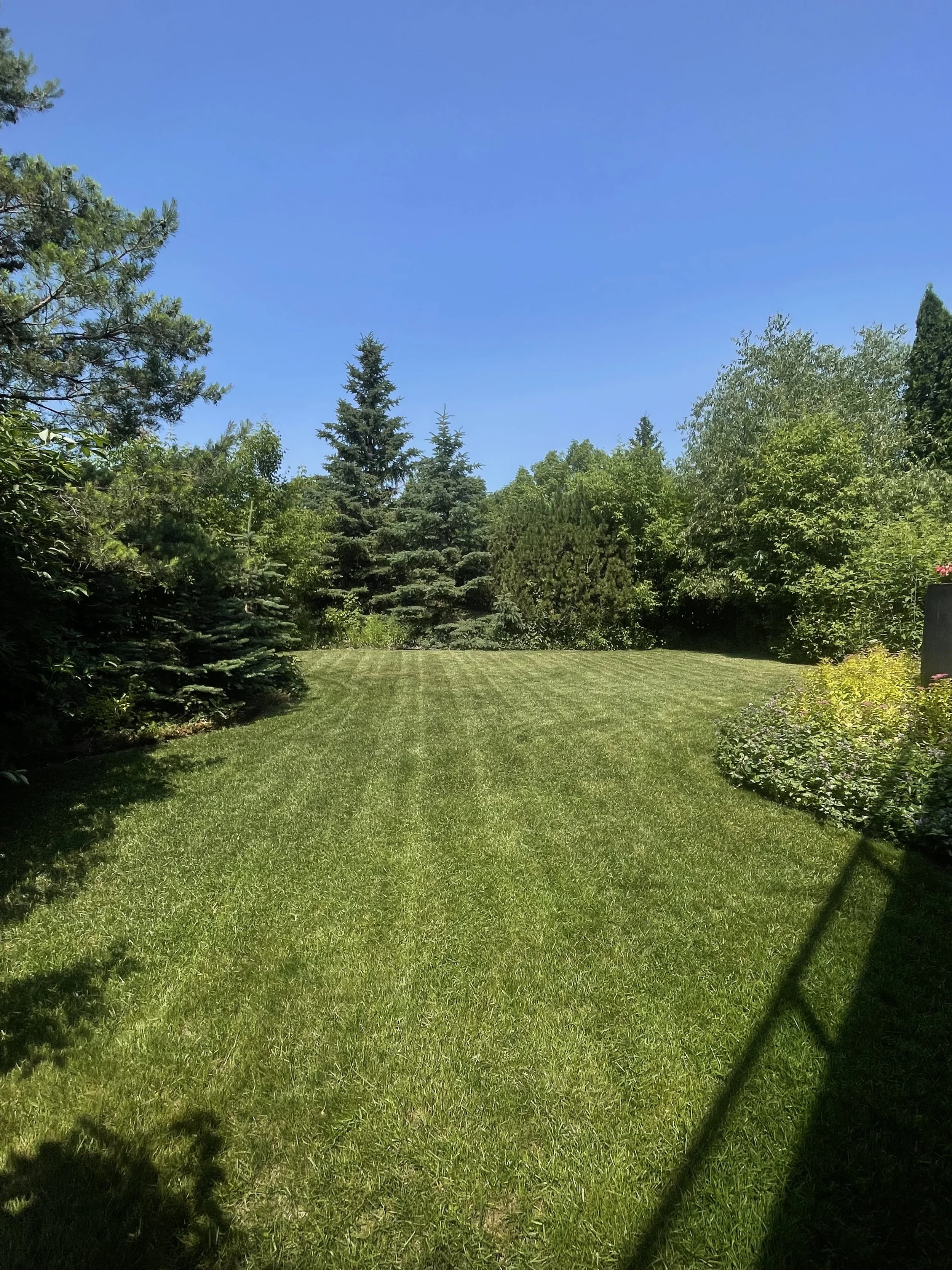 Oranssi project: passive house