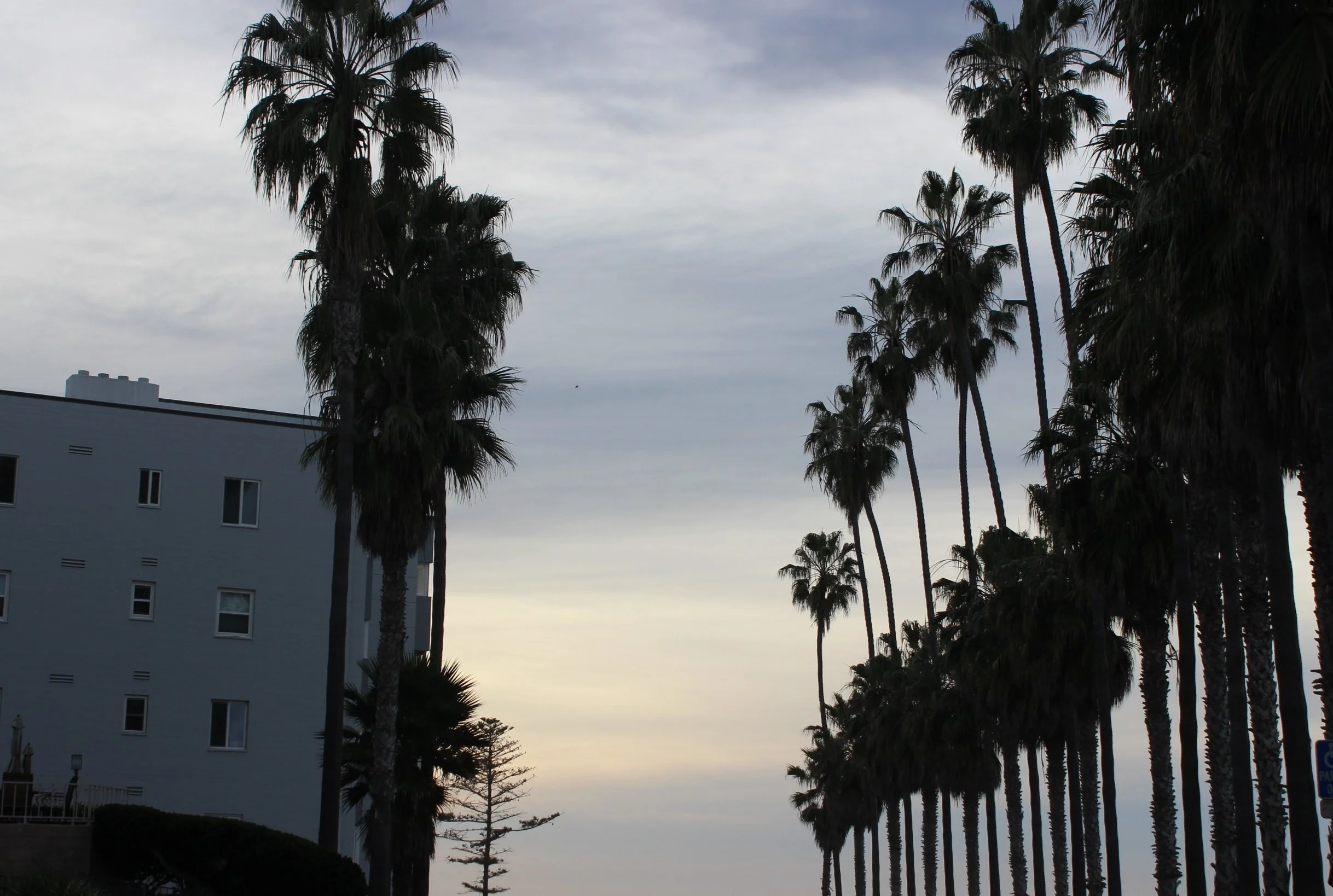 IMG_2409 (edited).JPG