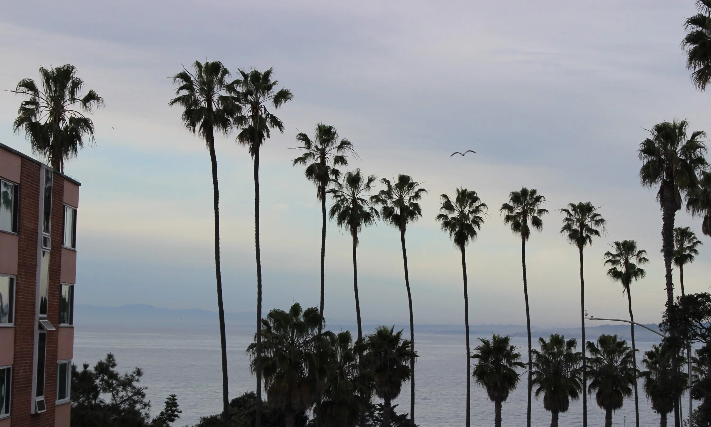 IMG_2406 (edited).JPG