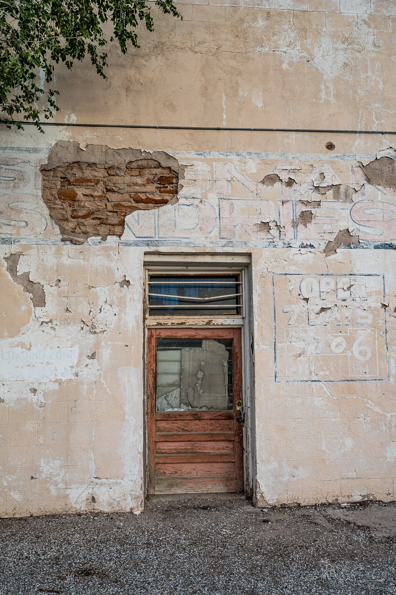 DSC_9500.jpg