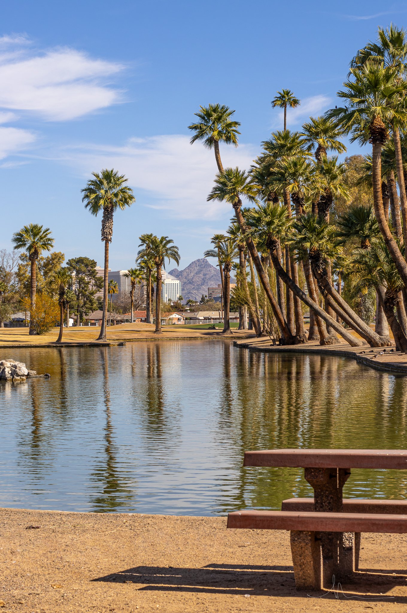 A scenic park scene with tall palm trees lining a calm body of water, a bench in the foreground, and buildings with mountains in the background under a blue sky with some clouds.
