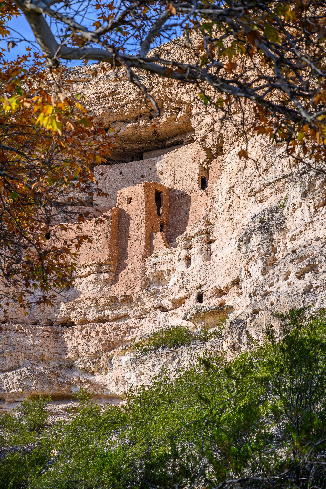 Ancient cliff dwelling built into a rocky cliffside with small windows and rooms, surrounded by autumn foliage.