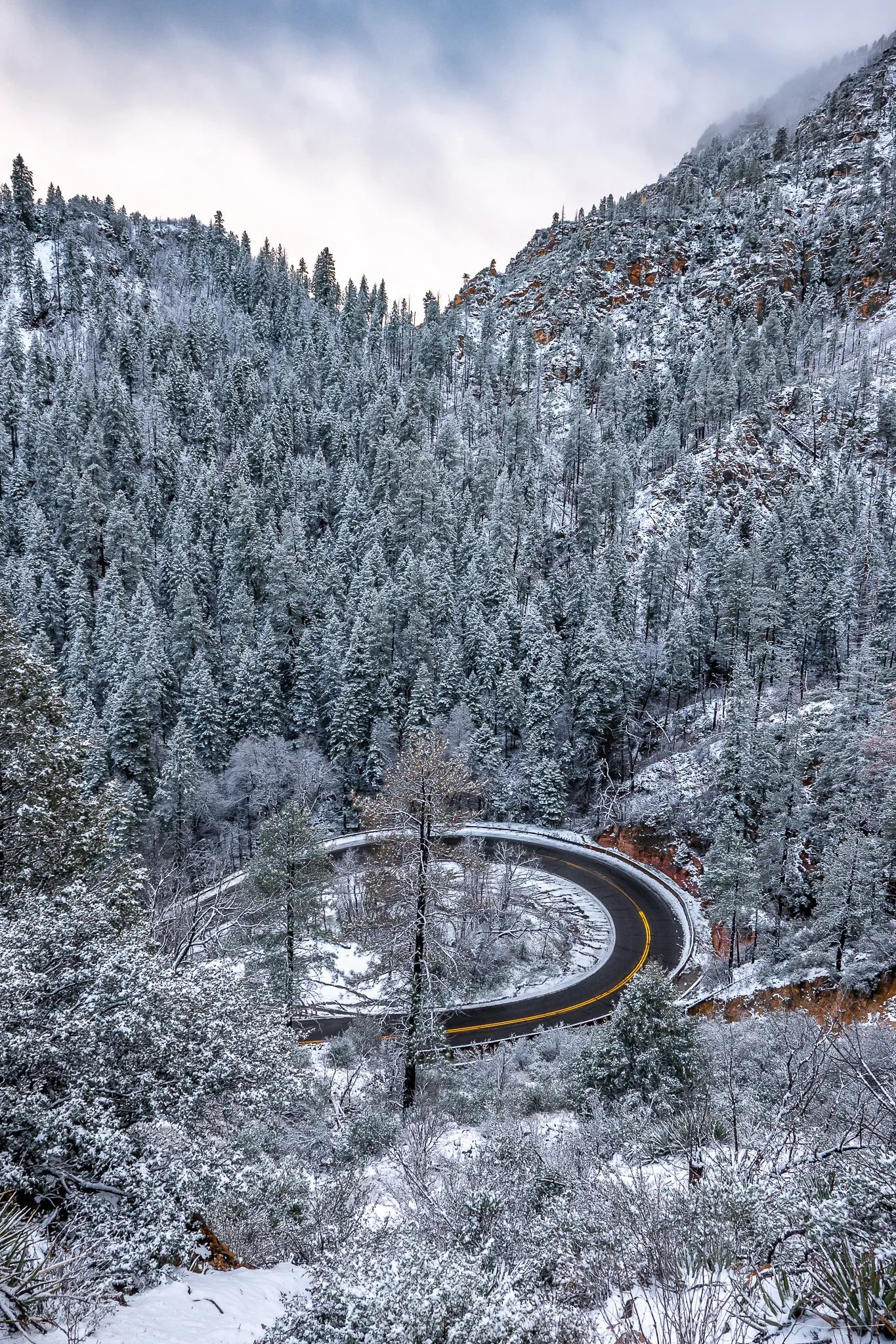 Snow-covered mountain road winding through a dense forest of pine trees on a cloudy day.