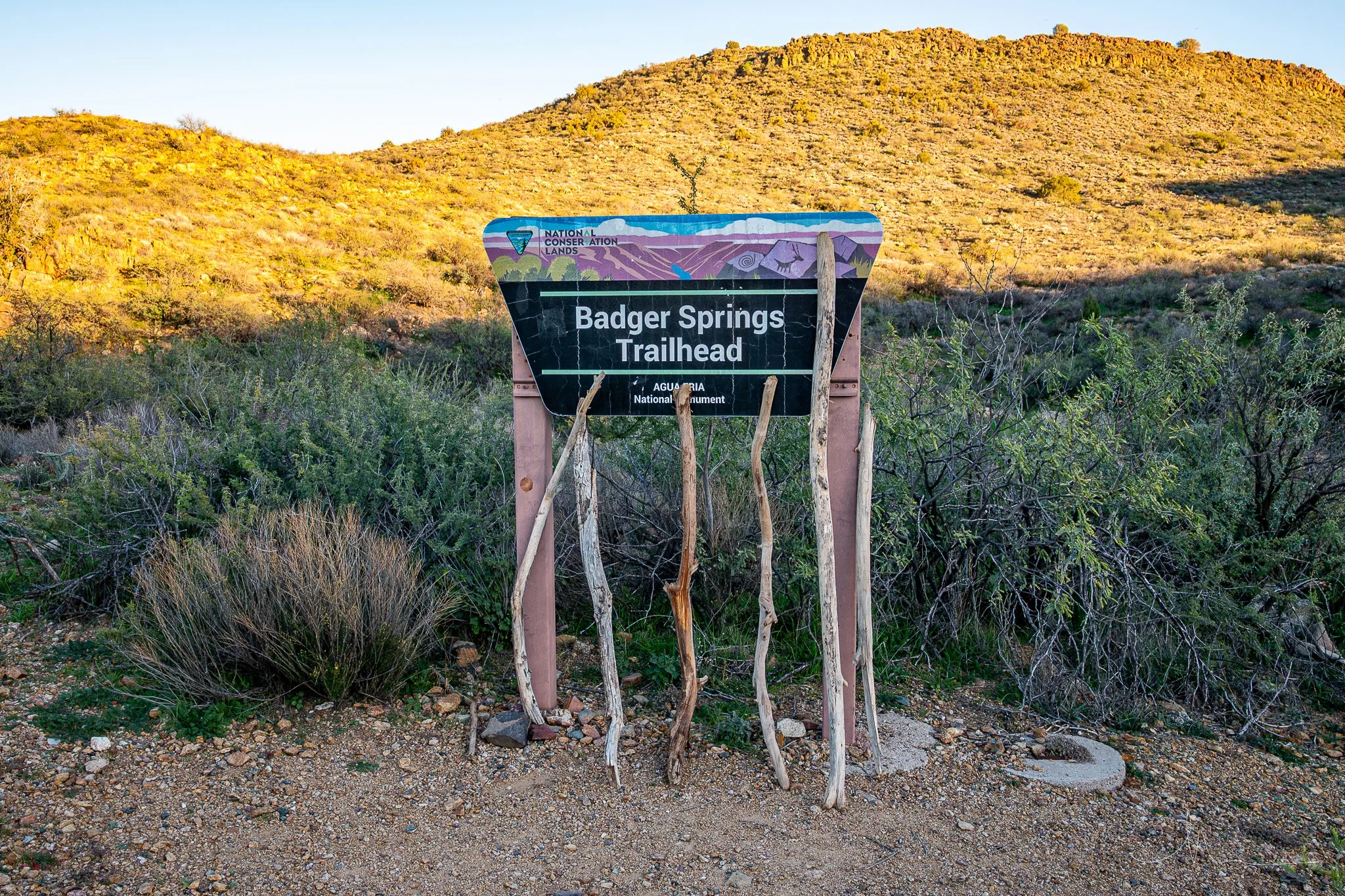 DSC_9144.jpg