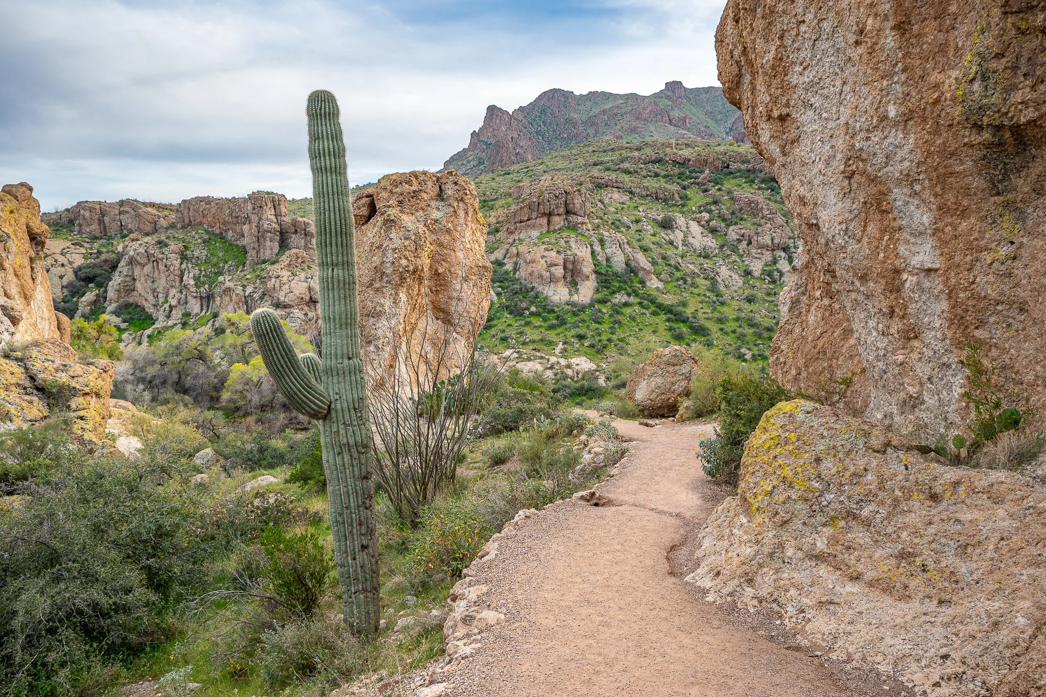 Arizona Day Trips: Part 1 – Three Incredible Adventures Worth the Drive from Phoenix