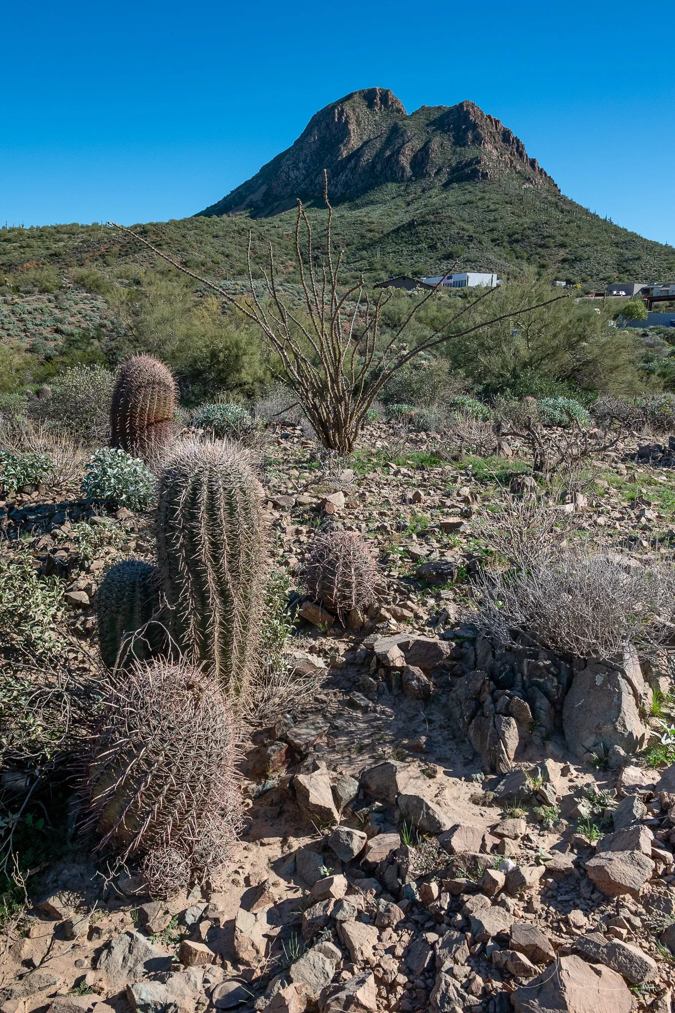 DSC_8964-2.jpg