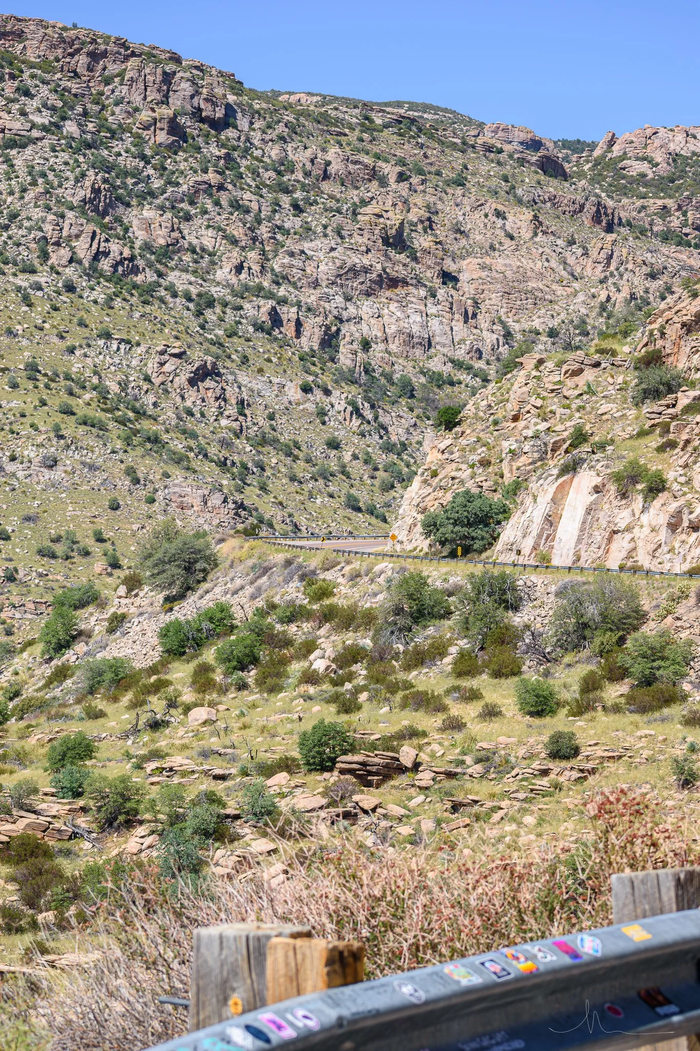DSC_0146.jpg