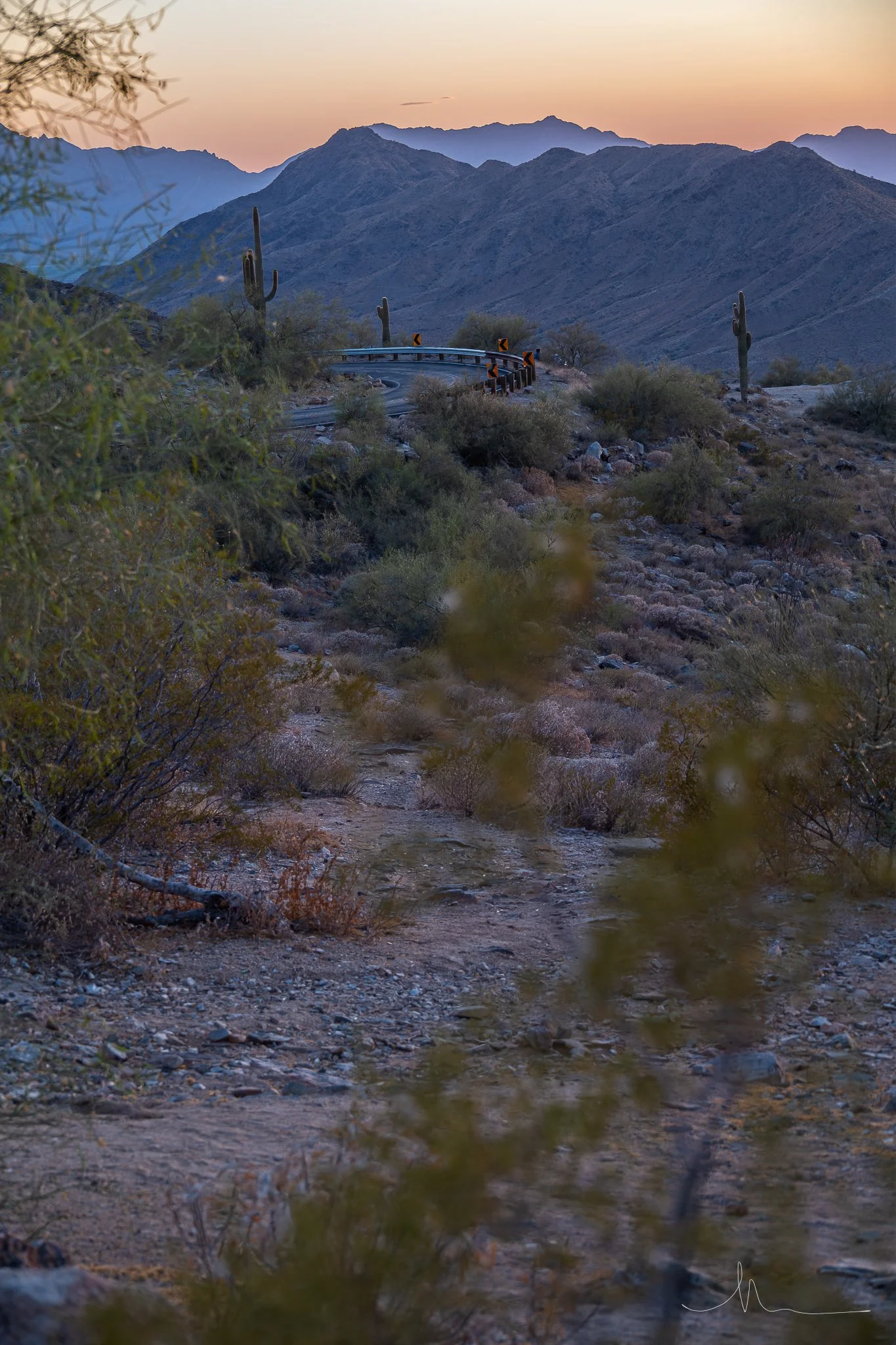 DSC_6508-HDR-2.jpg