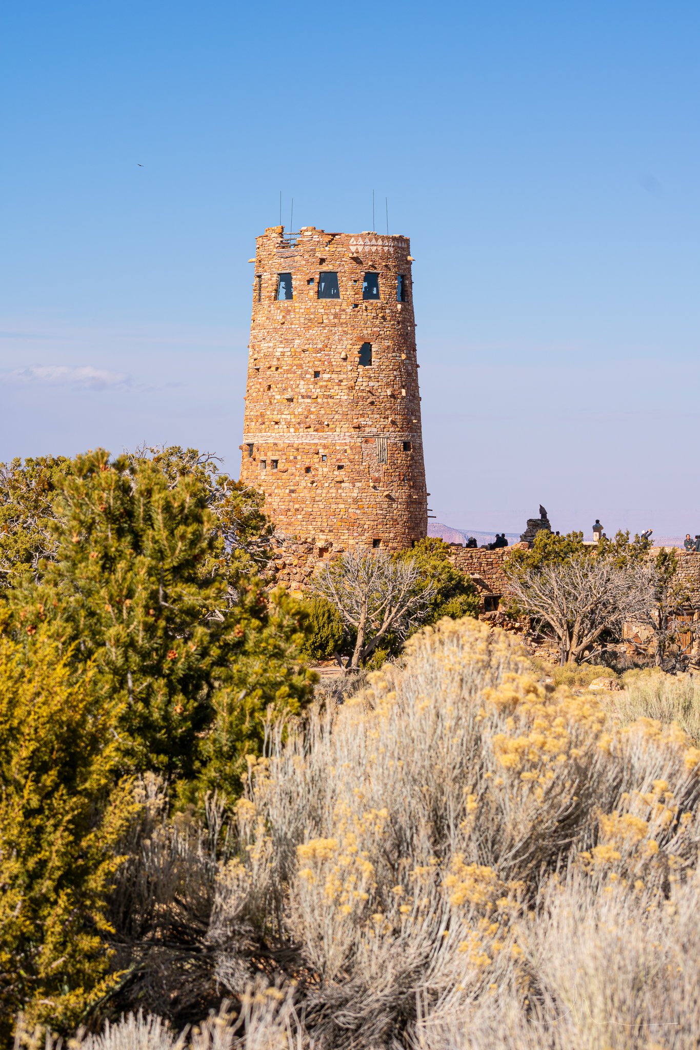 DSC_0353.jpg