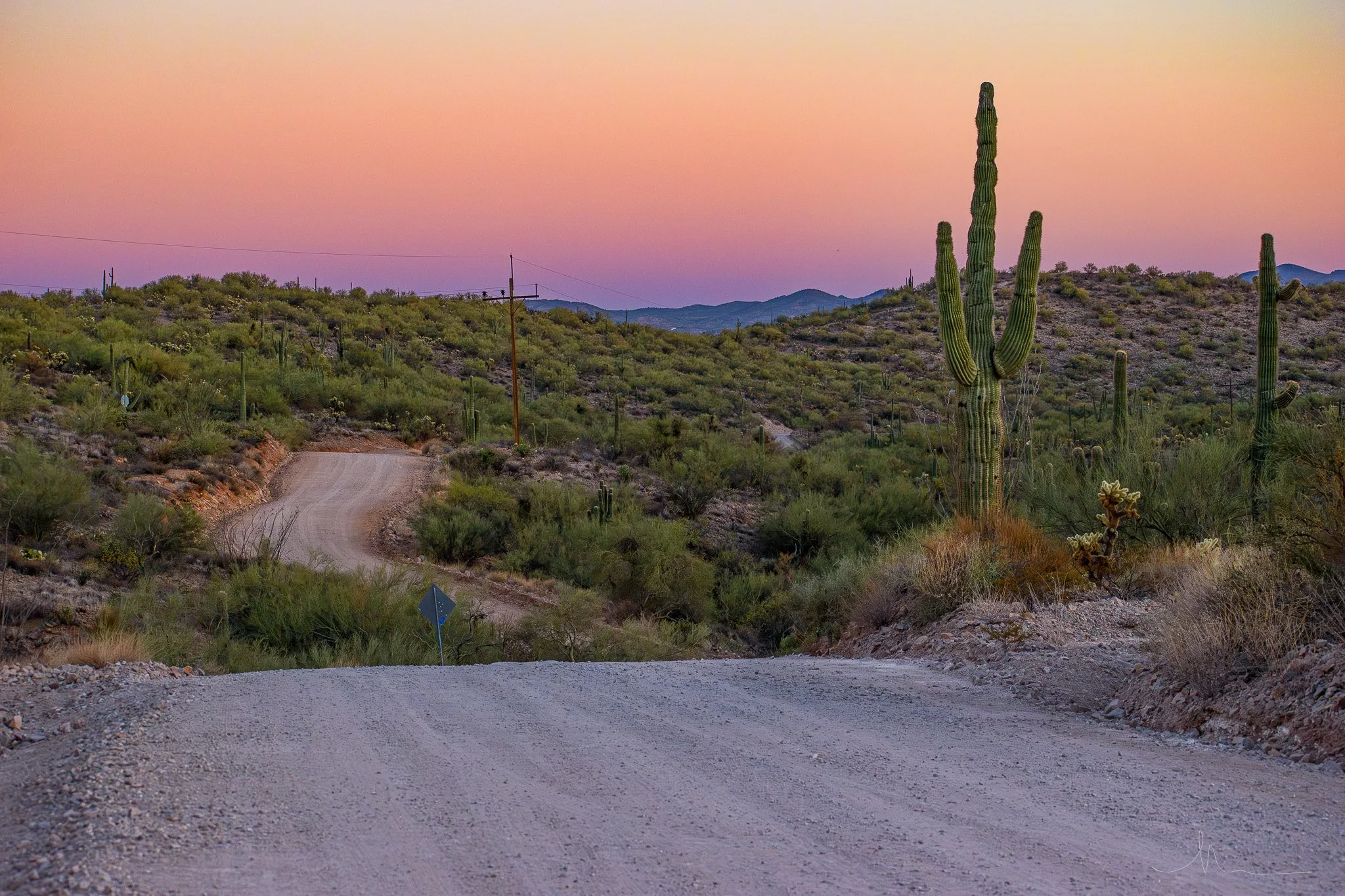 A dirt road winds through a desert landscape with cacti and sparse vegetation during sunset or sunrise, with mountains in the distance and a colorful sky.