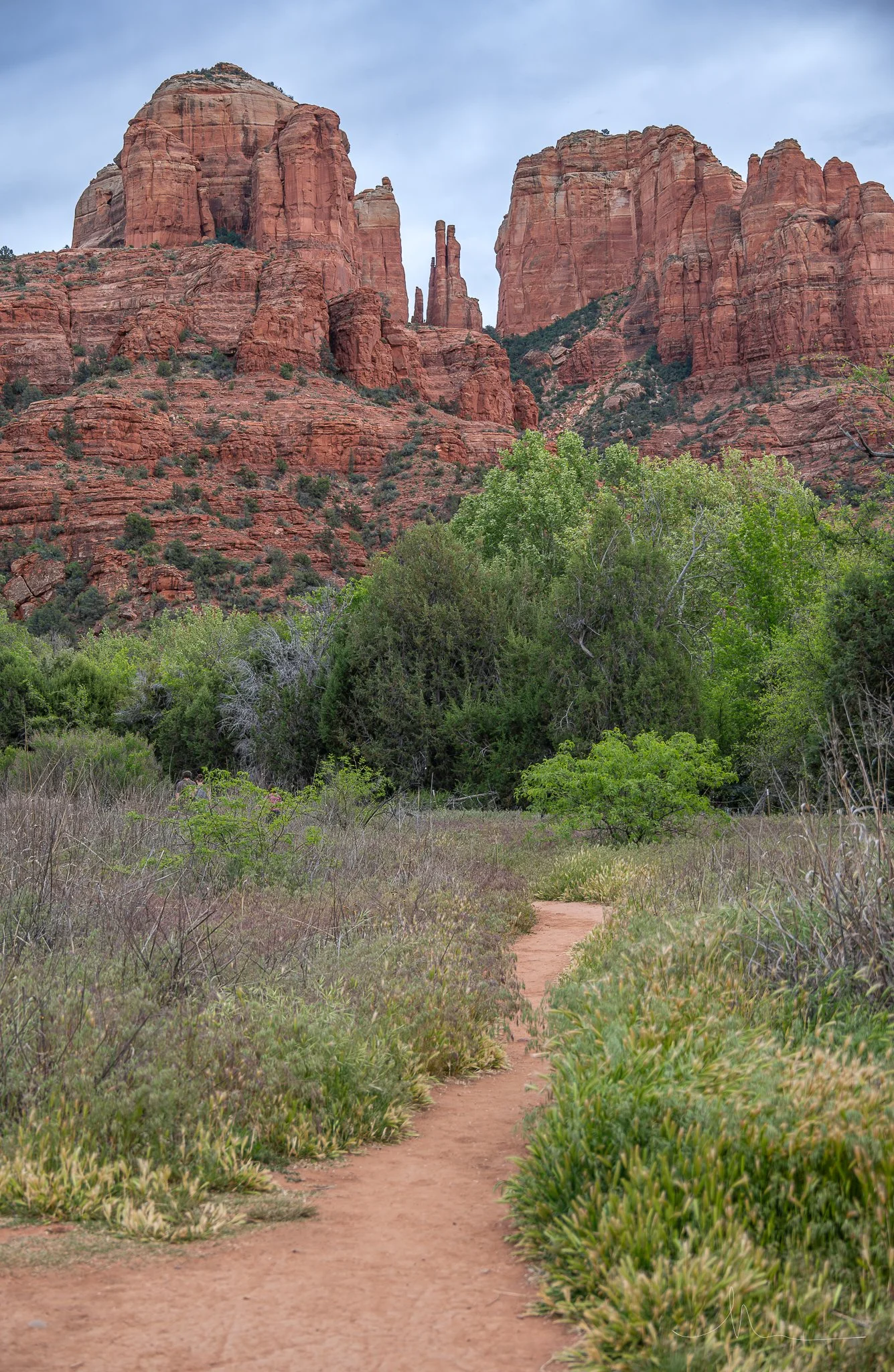 DSC_6628.jpg