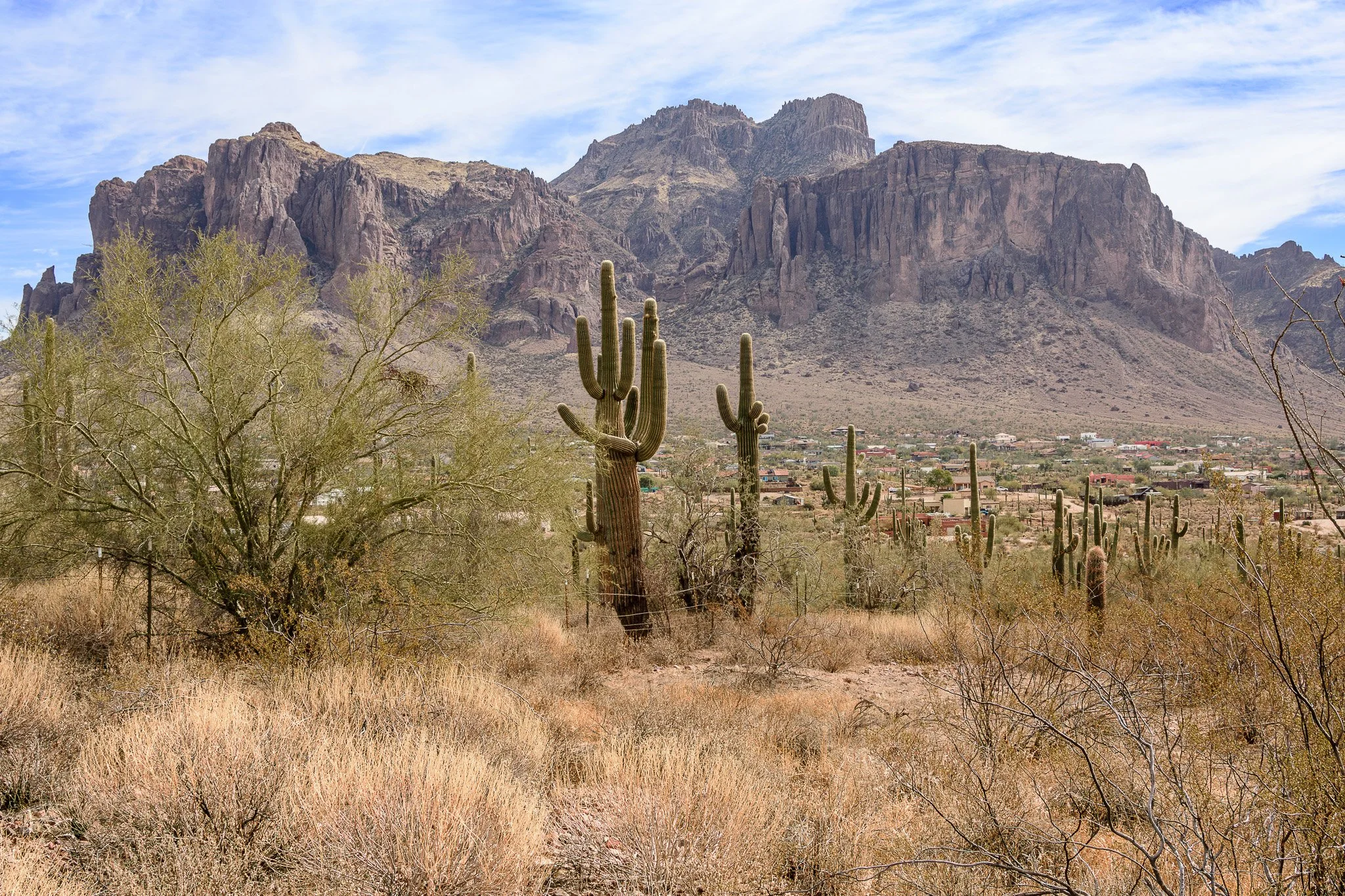 Desert landscape with saguaro cacti, sparse bushes, and a mountain range in the background under a partly cloudy sky.