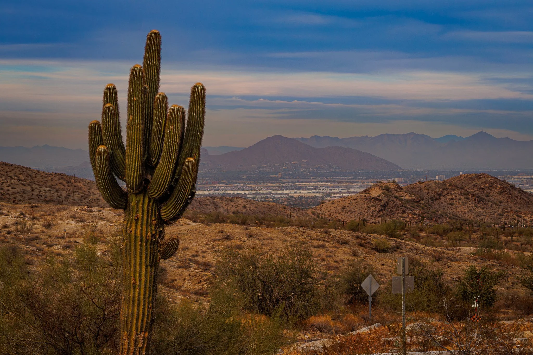 South Mountain Park, Phoenix, Arizona Photography by Nicole Ford