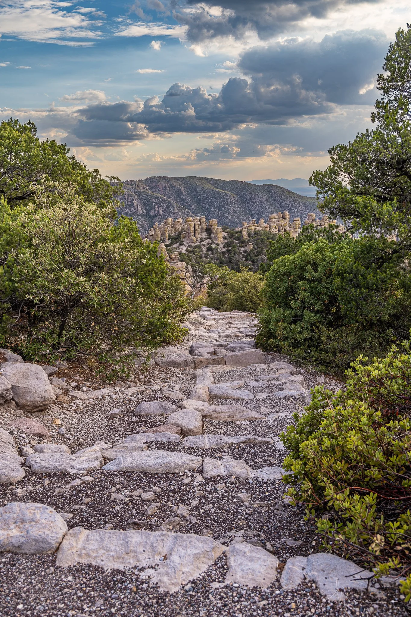 DSC_8451-HDR.jpg