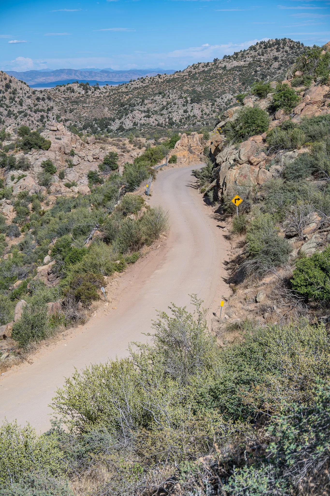 DSC_8343.jpg