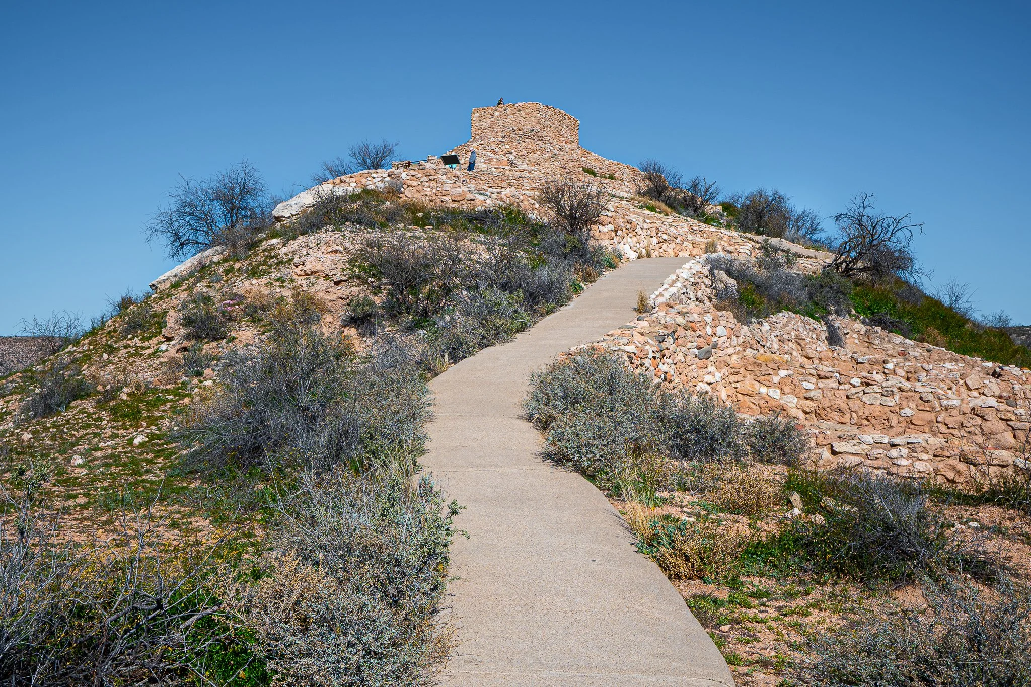DSC_1378.jpg