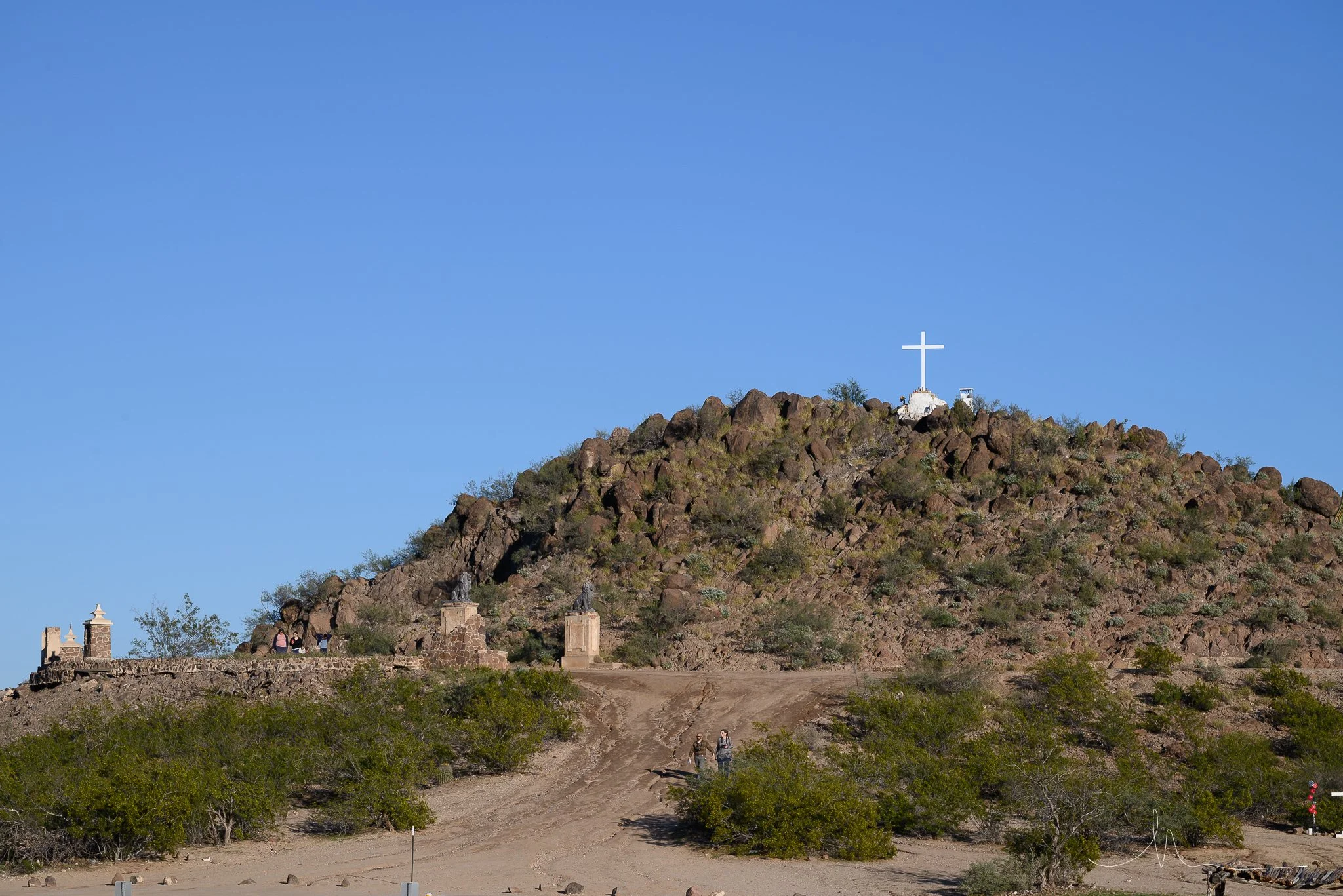 DSC_8449.jpg