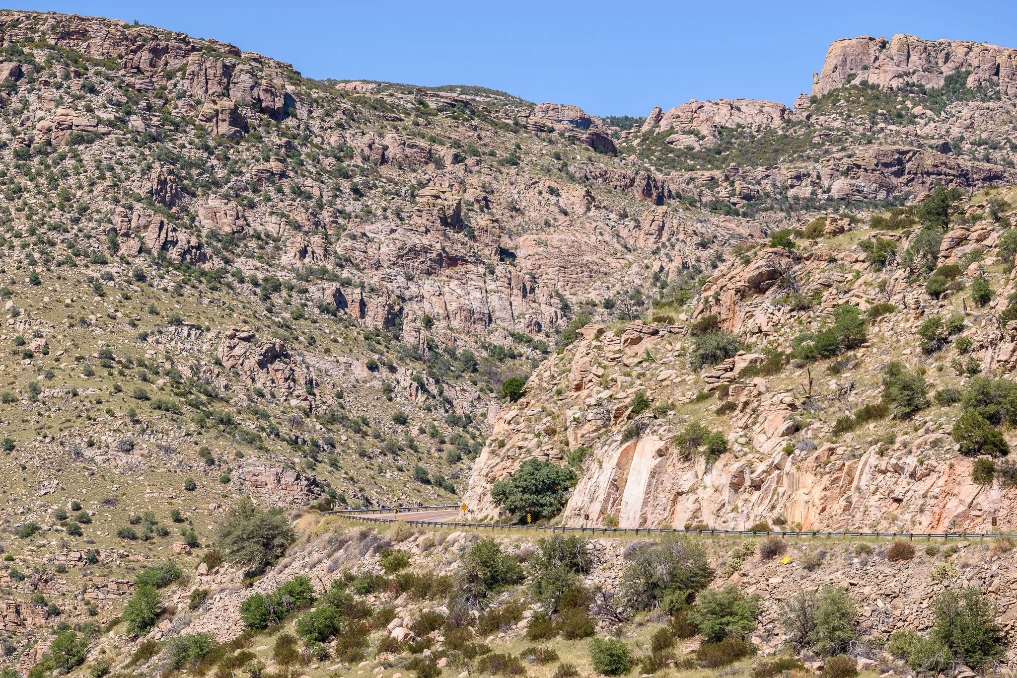 DSC_0166-2.jpg