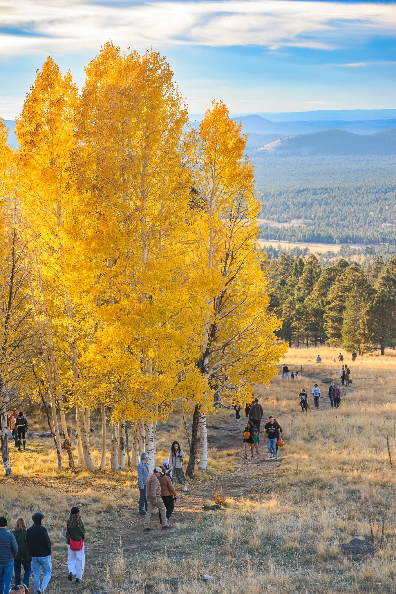 People walking along a trail through a field with yellow and orange autumn trees, with mountains in the background and a blue sky with some clouds.