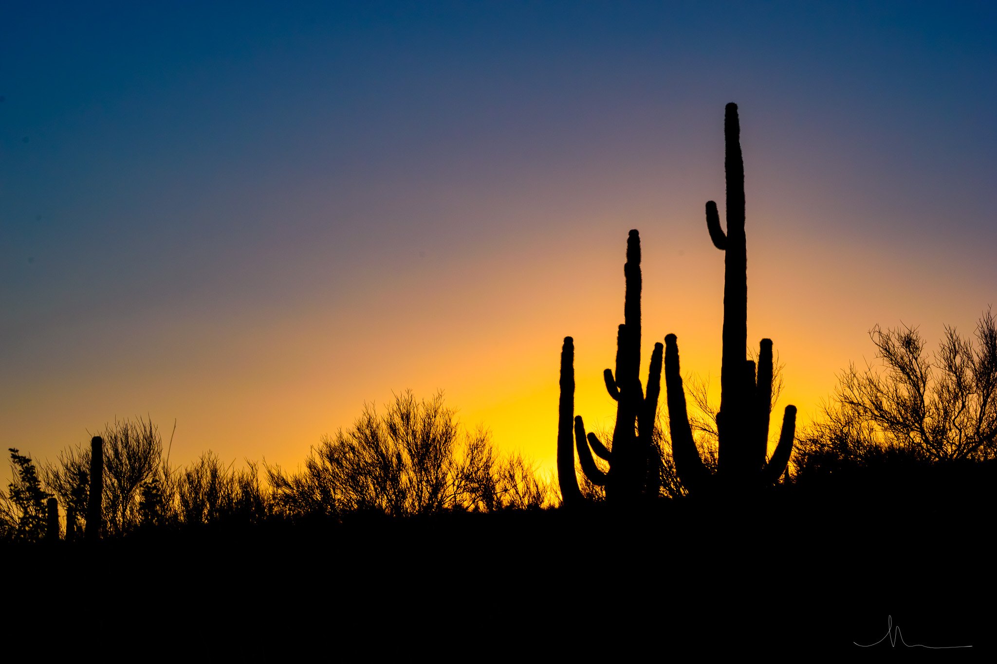 Afterglow Arizona Photograph by Nicole Ford