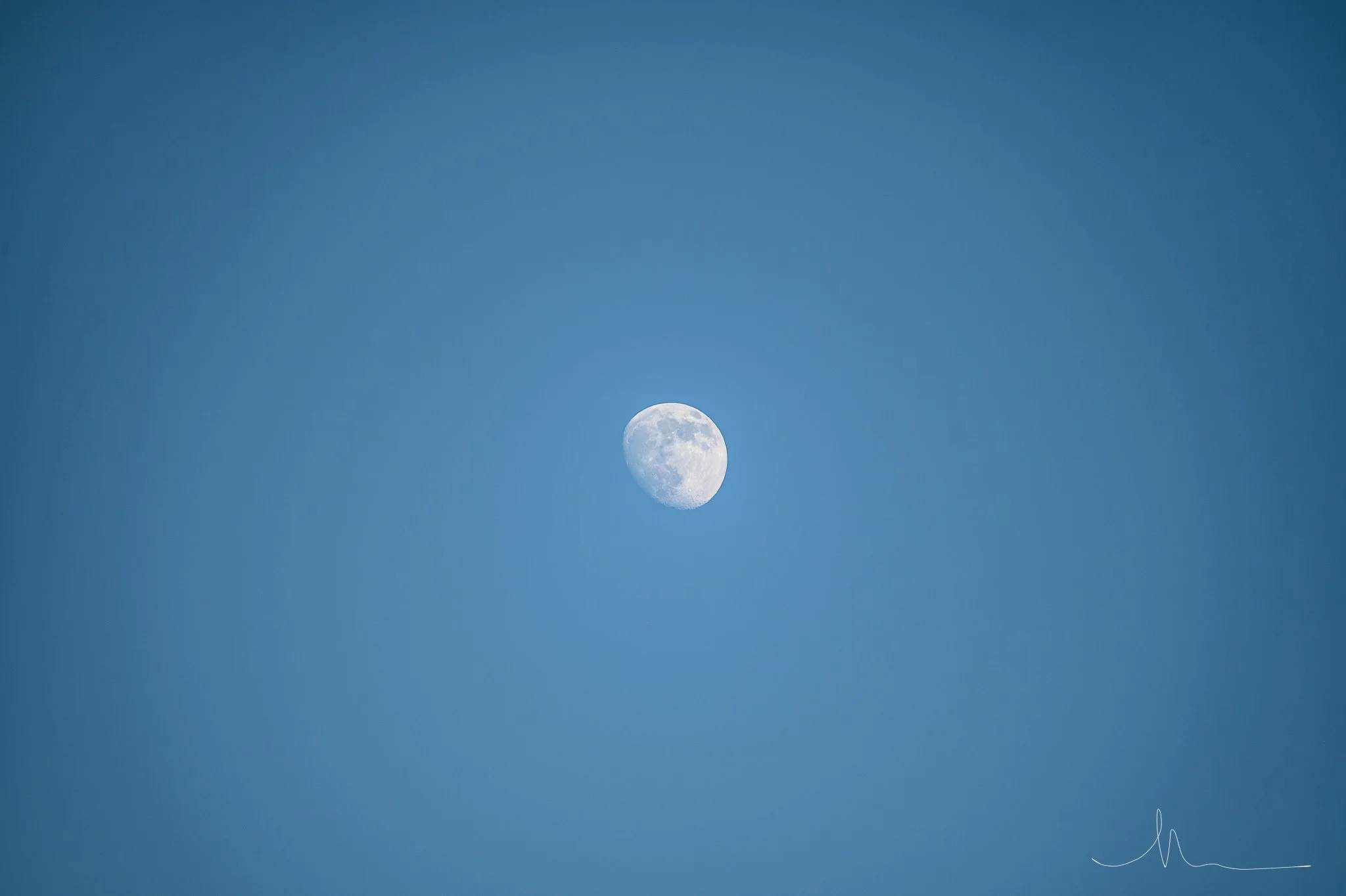 DSC_8854.jpg