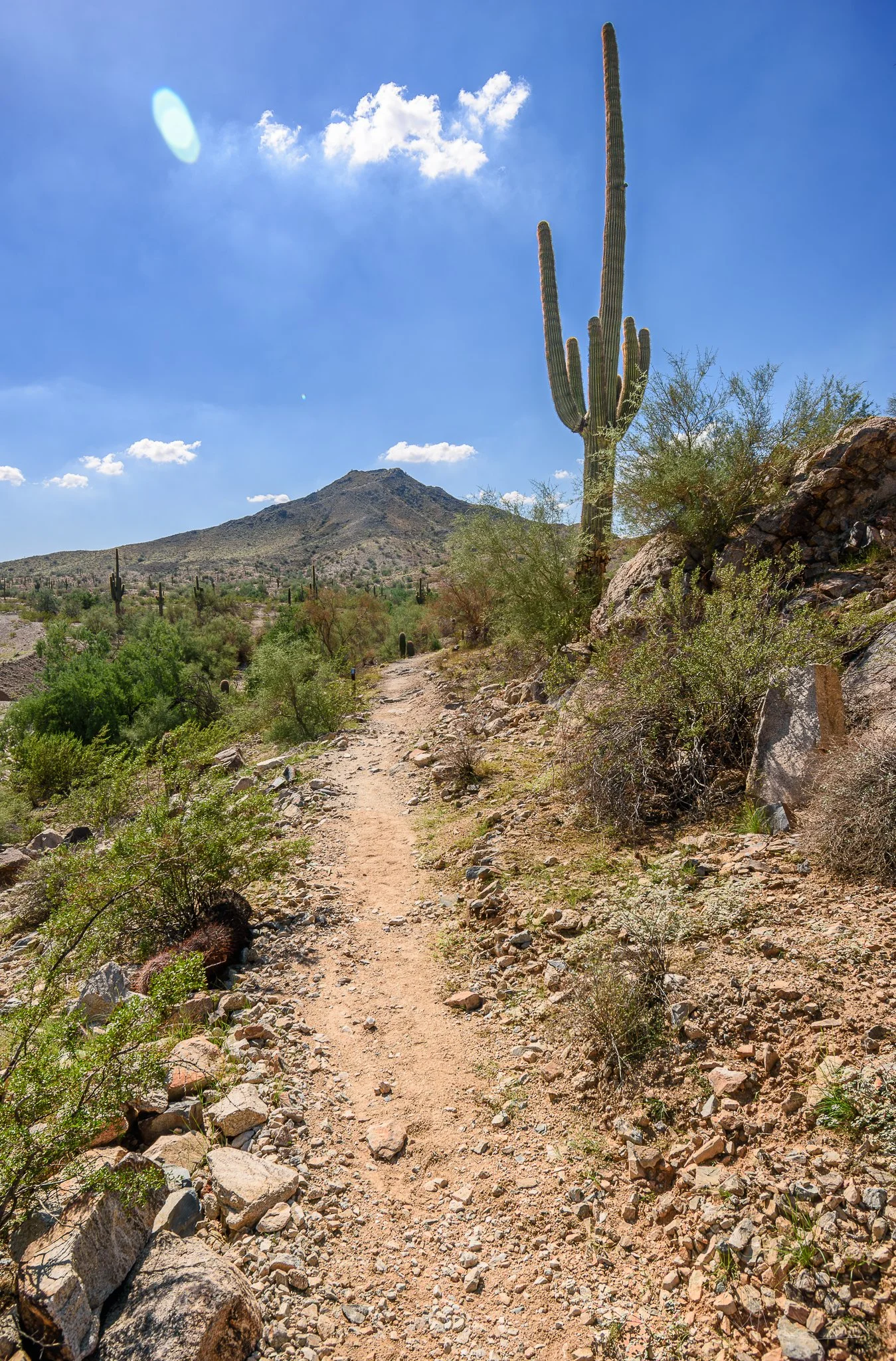 South Mountain Park, Phoenix, Arizona Photography by Nicole Ford