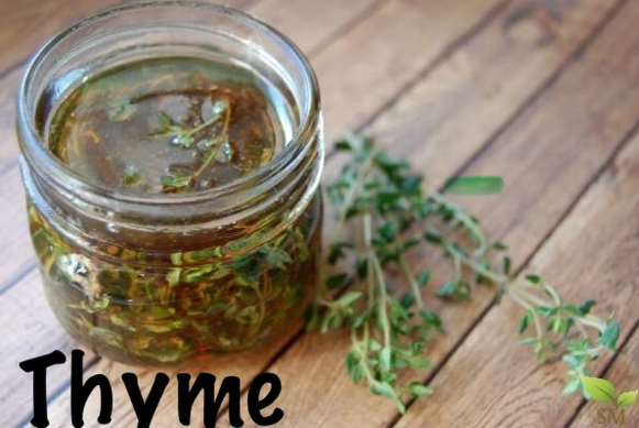 thyme.png