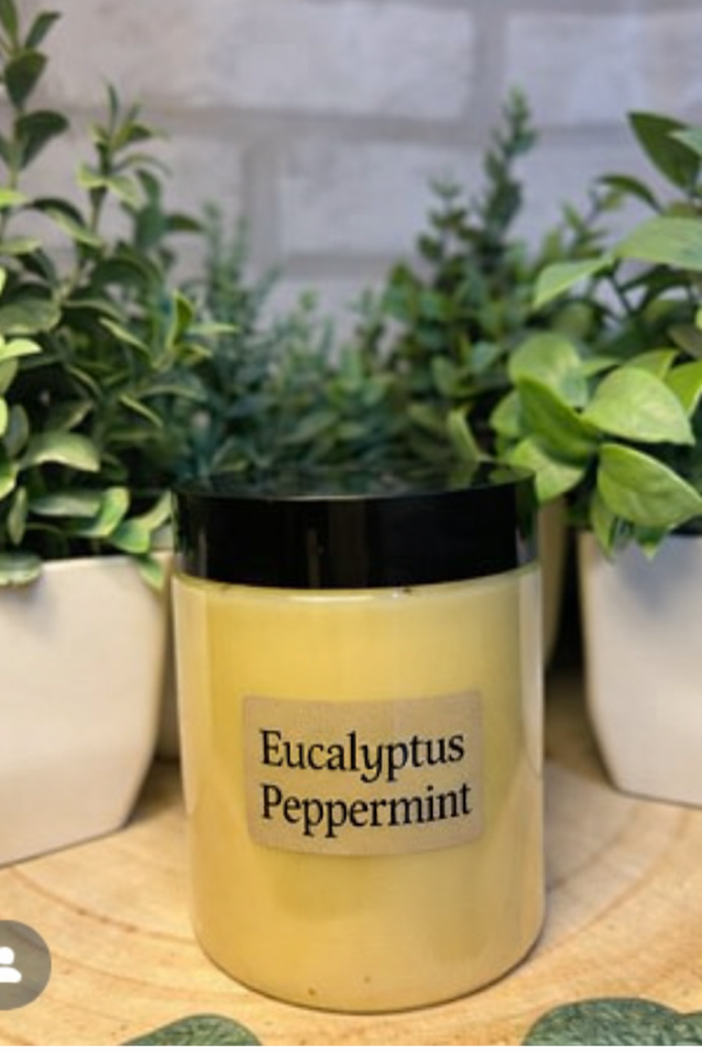 Eucalyptus Peppermint.png