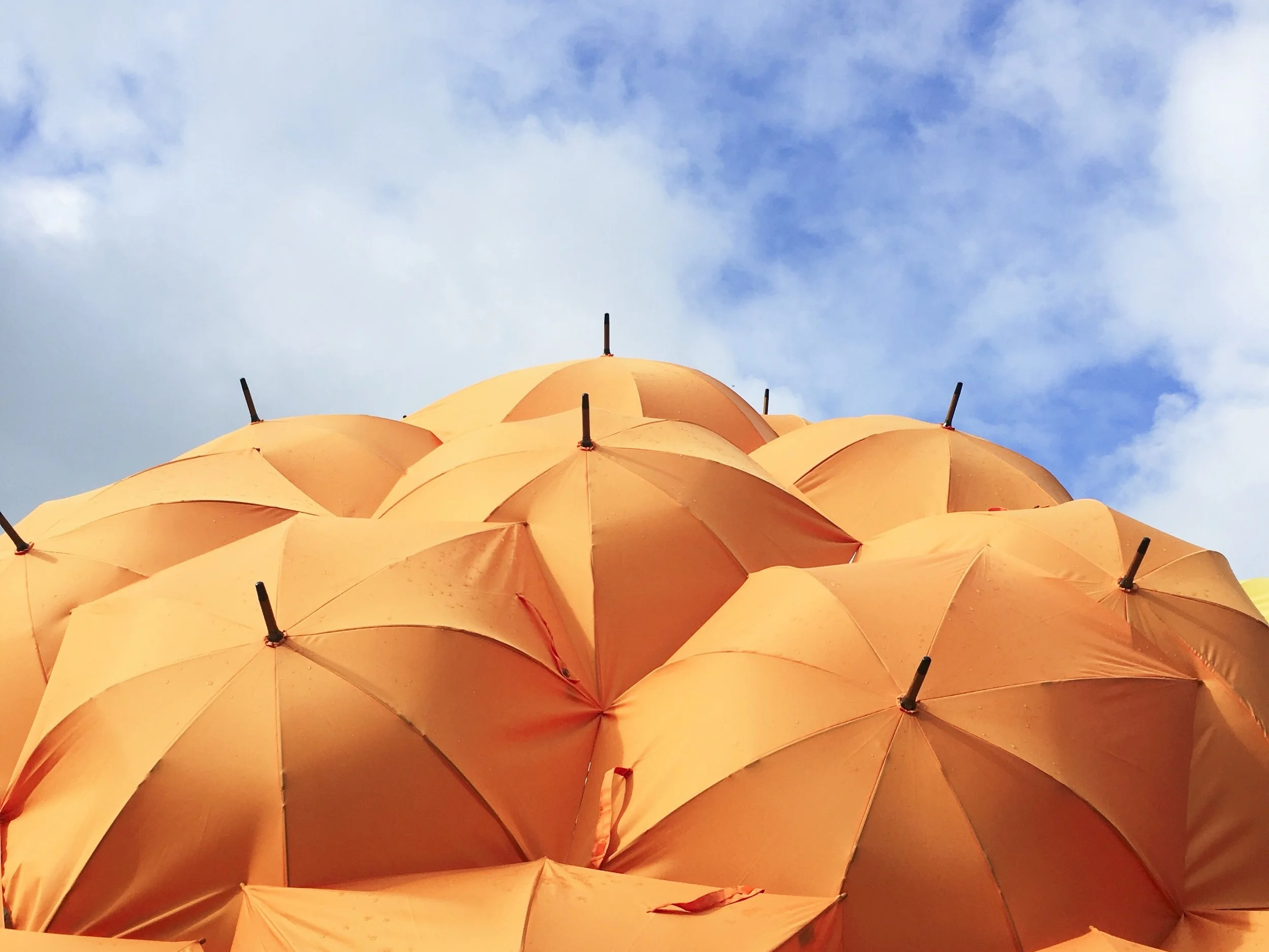 We accept most dental insurances. We are in-network with Delta Dental Premiere and PPO.