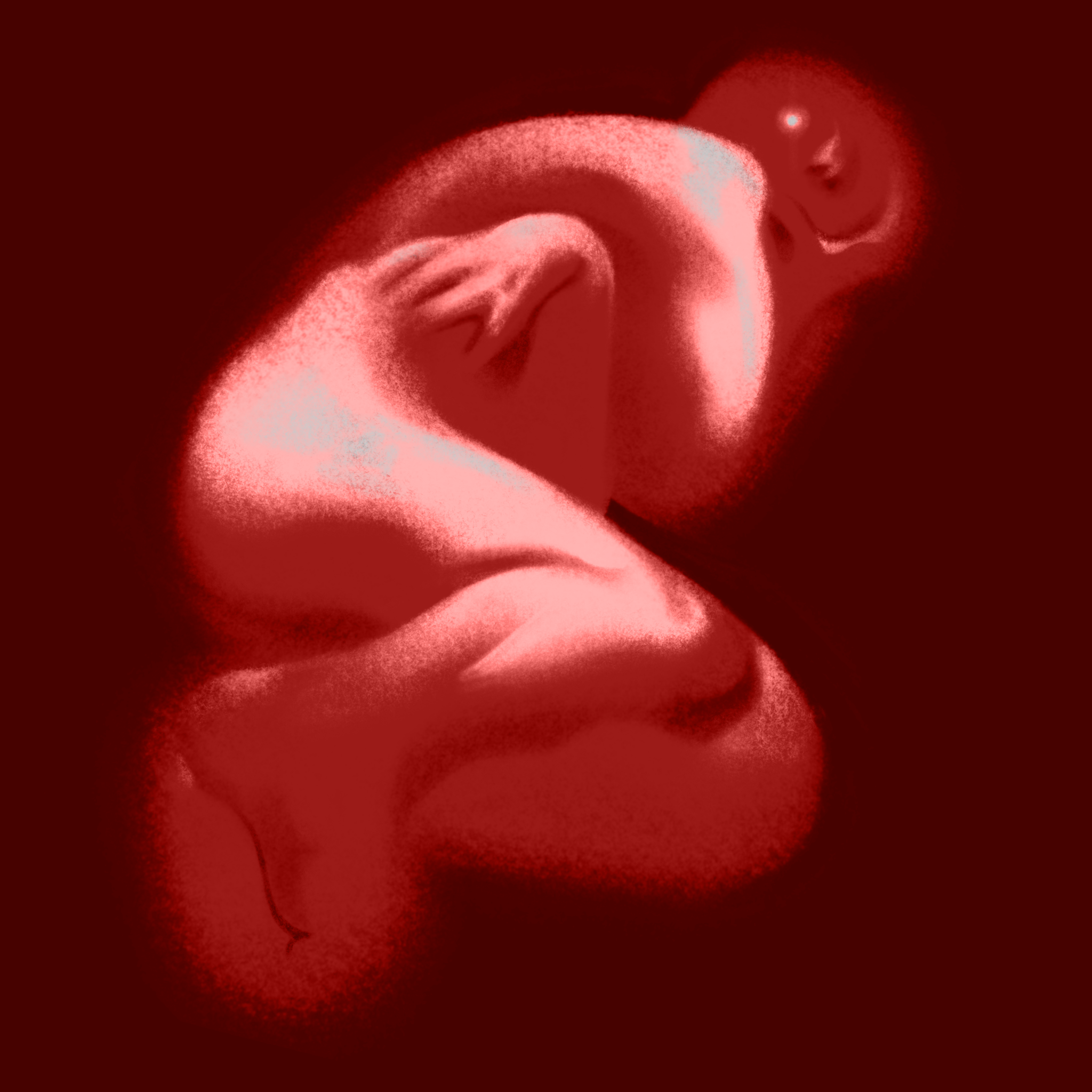 IMG_8697.PNG