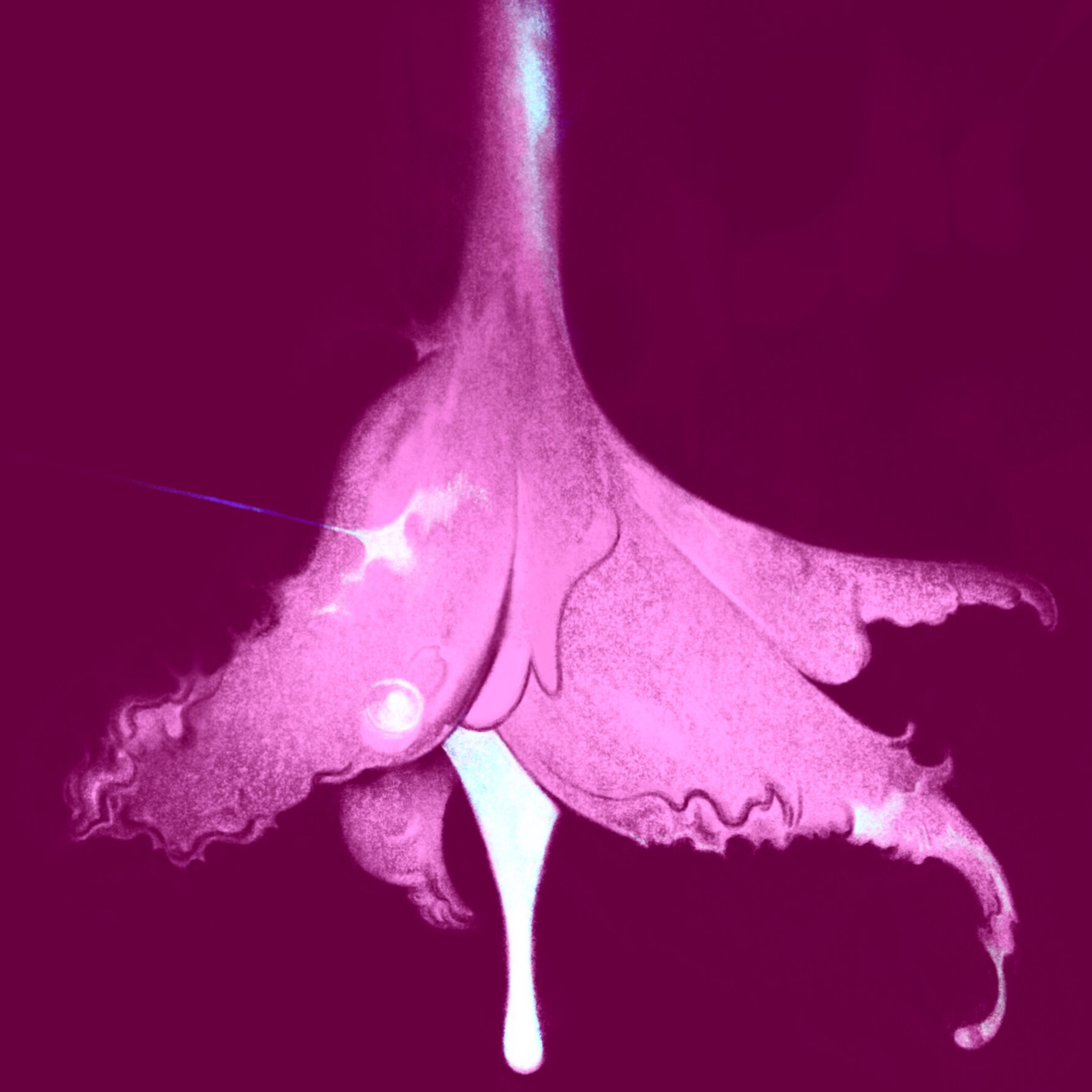 Untitled_Artwork 29.png