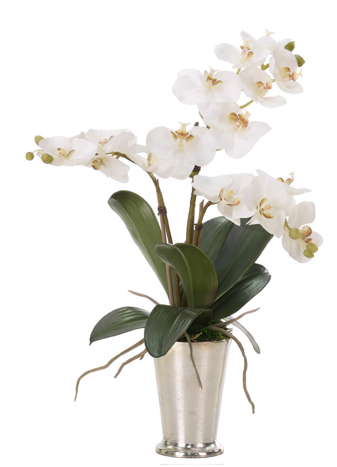White Phalaenopsis Orchid Faux Arrangement