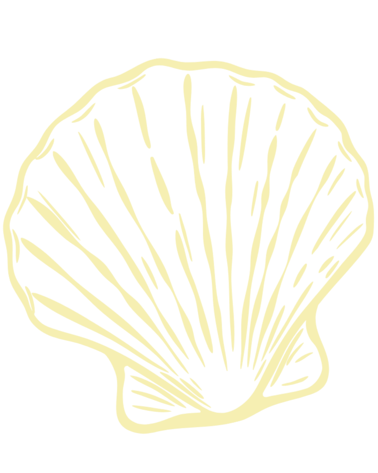 A stylized, yellow illustration of a seashell with radiating lines.