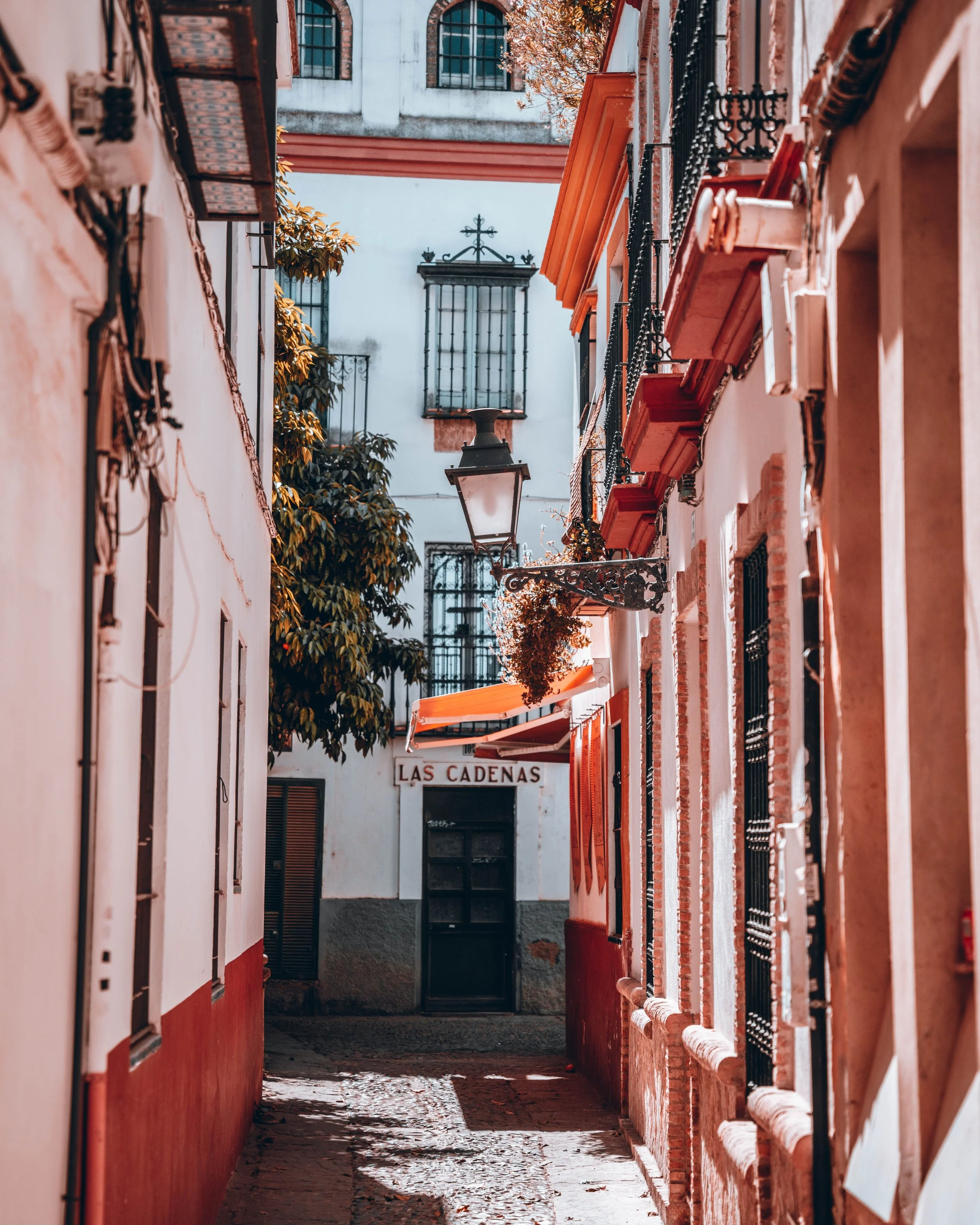 pexels-pixels-elements-16627386.jpg