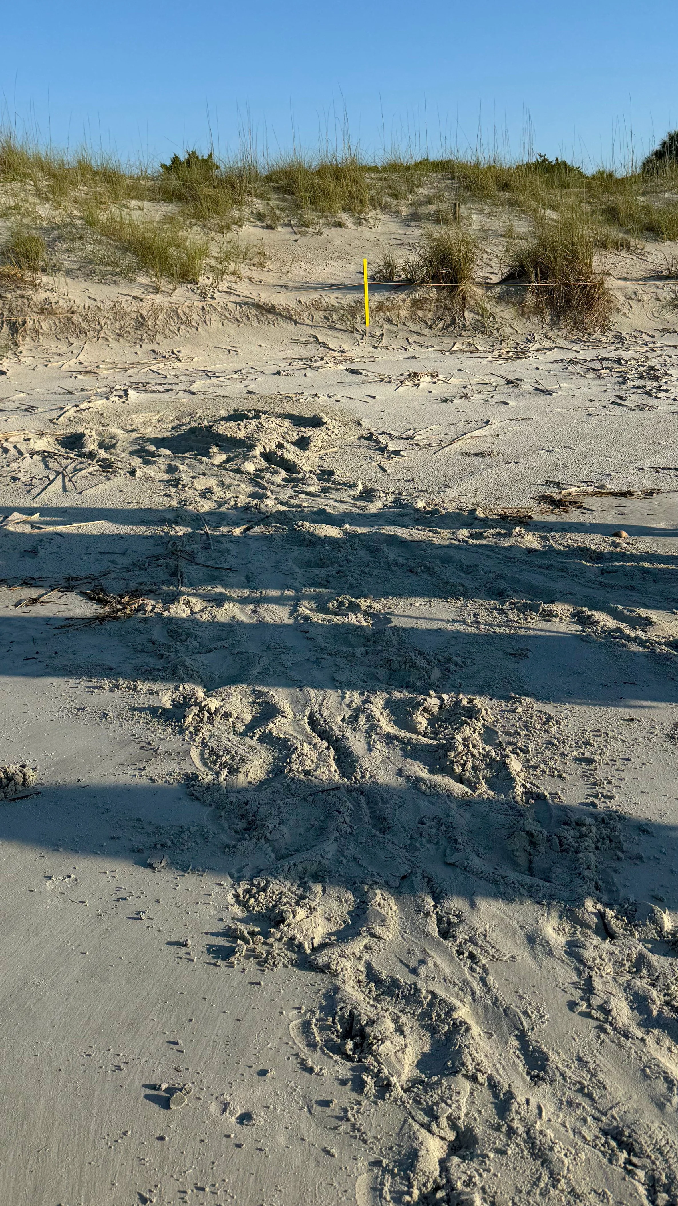 Sea-Island-Compelled-to-Travel-27.JPG